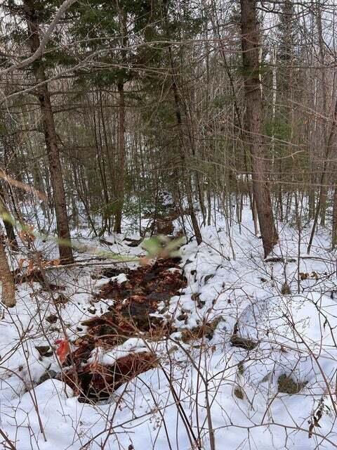 Lot 2 S Rumford Road Property Photo 8
