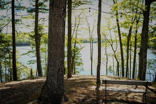 55 Lower Oak Point Road Property Photo 13
