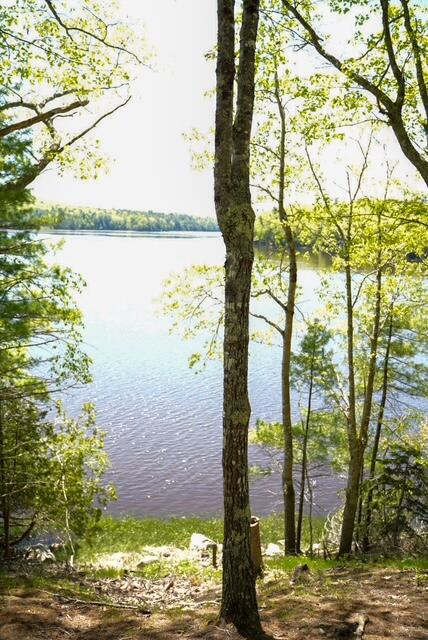 55 Lower Oak Point Road Property Photo 14