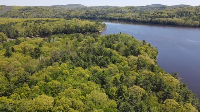 55 Lower Oak Point Road Property Photo 22