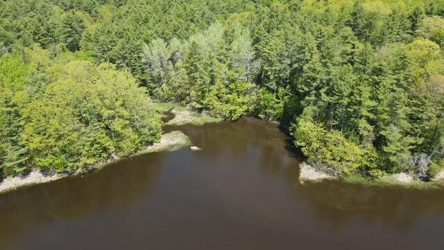 55 Lower Oak Point Road Property Photo 28