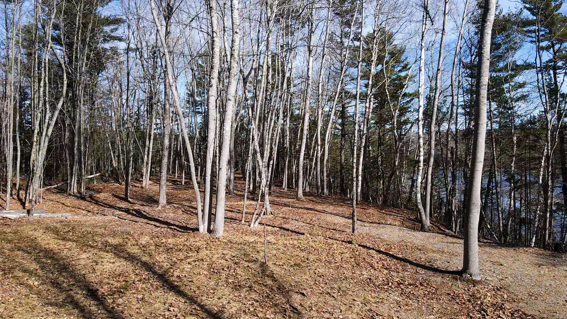 55 Lower Oak Point Road Property Photo 34