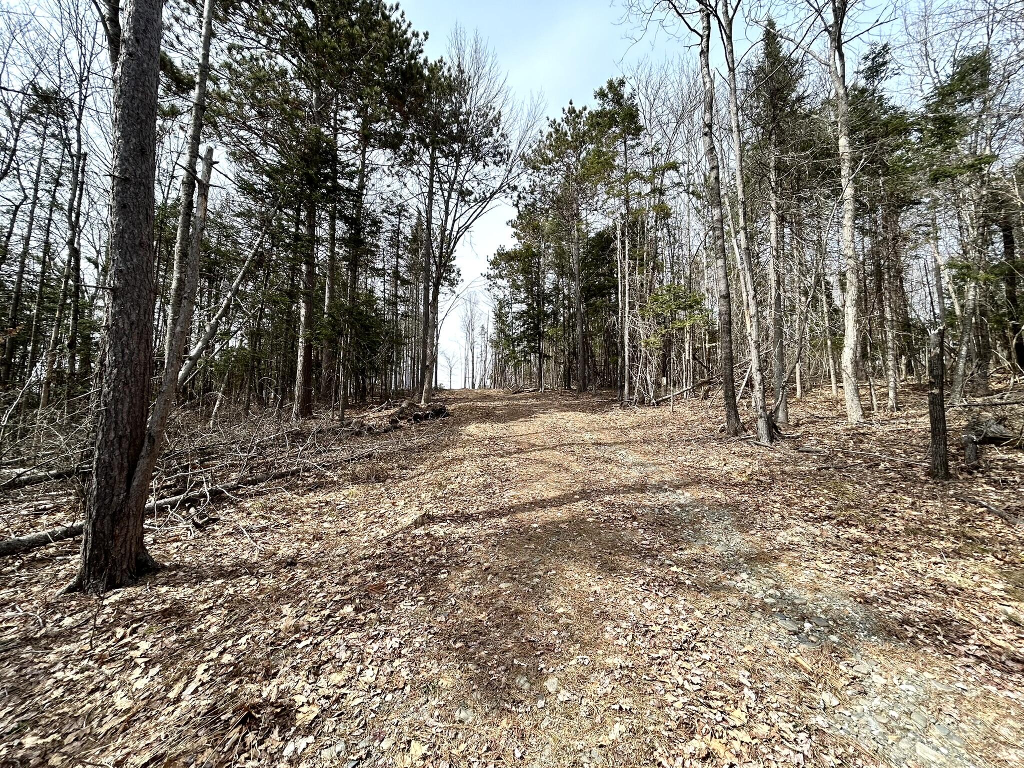 Map 11 Lot 8 Gray Road Property Photo 1