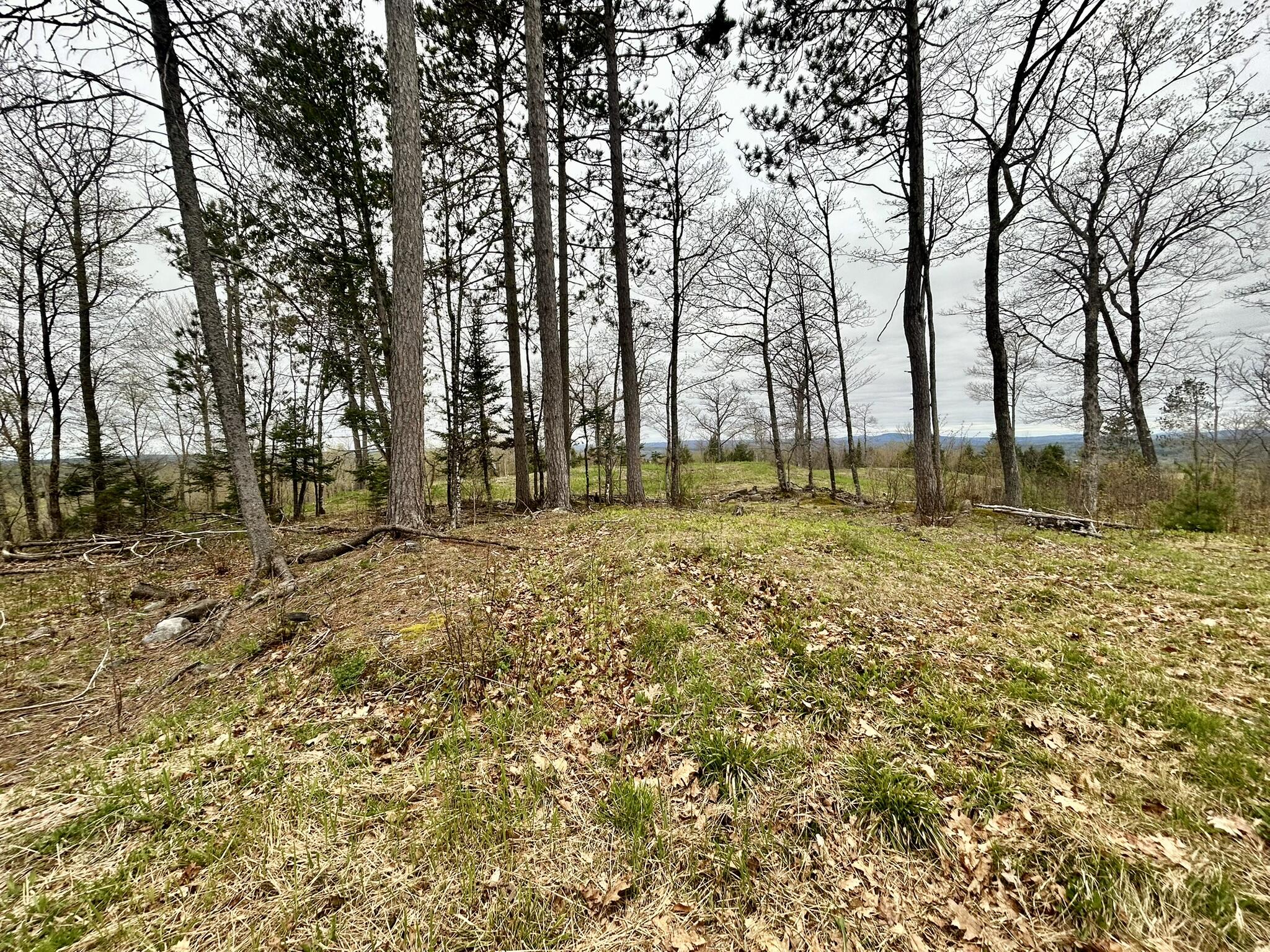 Map 11 Lot 8 Gray Road Property Photo 2