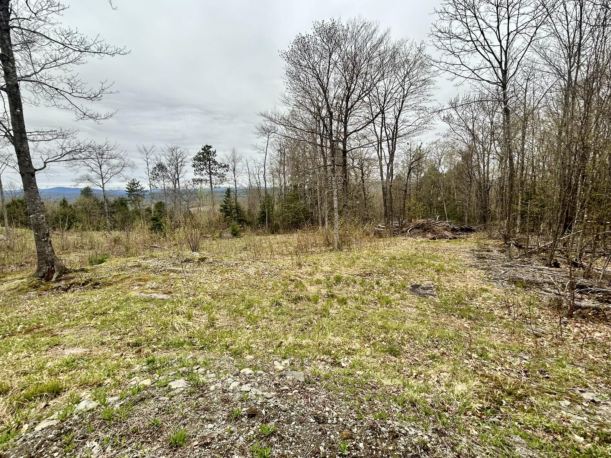 Map 11 Lot 8 Gray Road Property Photo 6