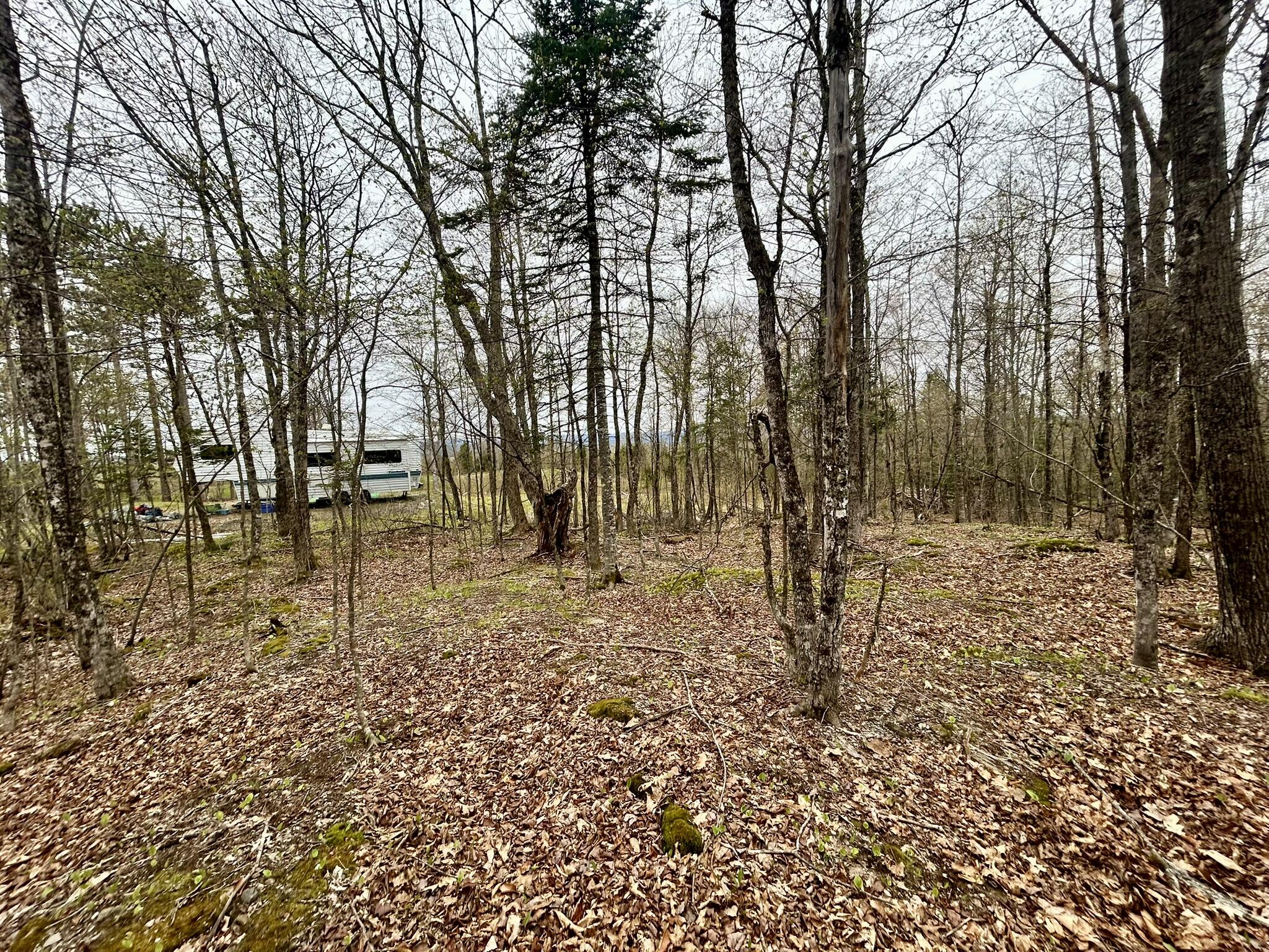 Map 11 Lot 8 Gray Road Property Photo 8