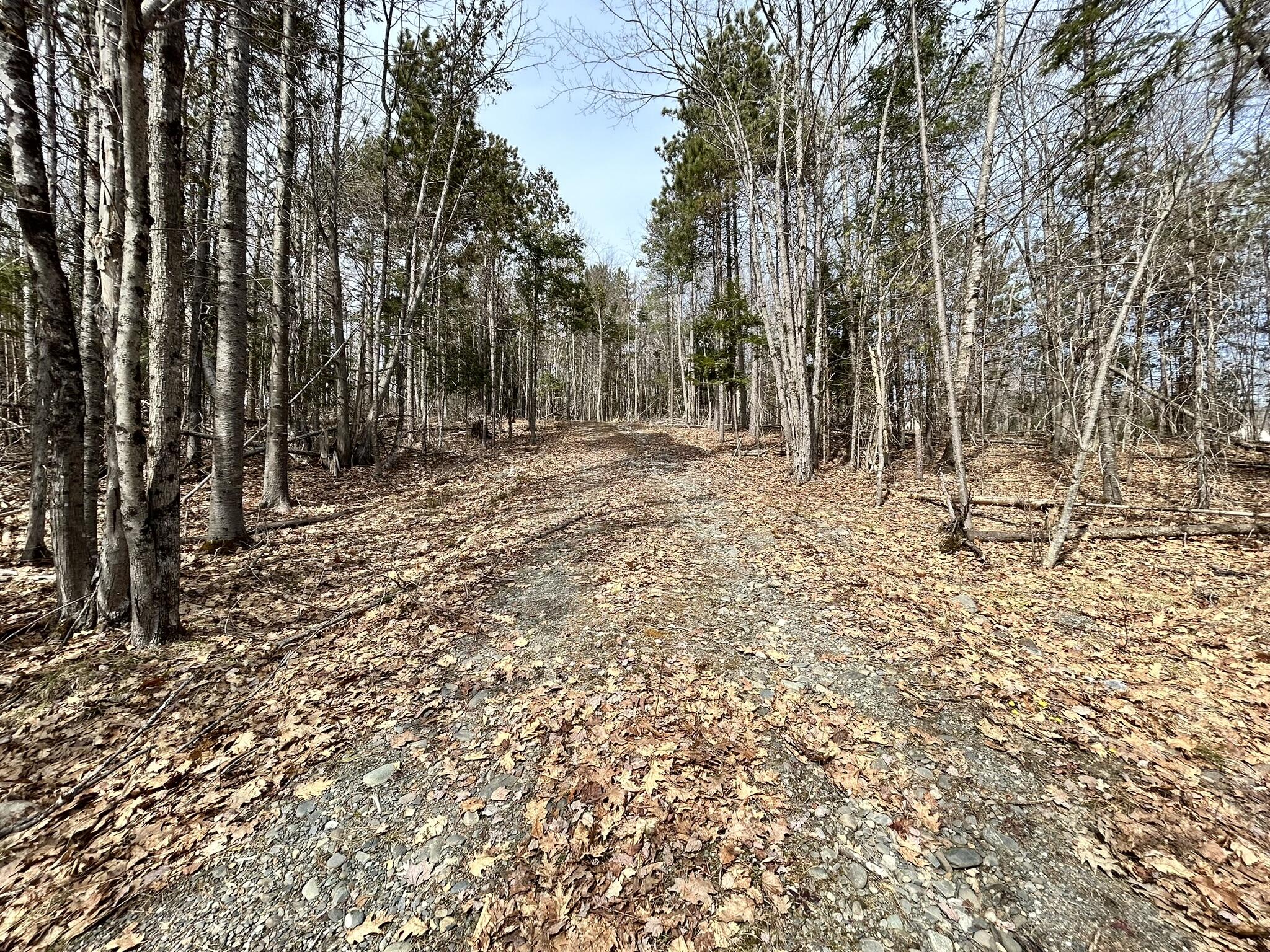 Map 11 Lot 8 Gray Road Property Photo 16