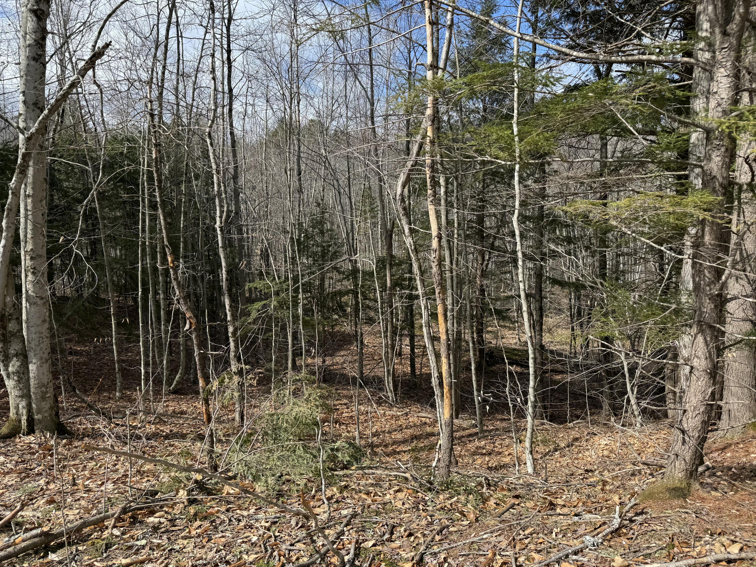 1-70 197 Route Property Photo 5
