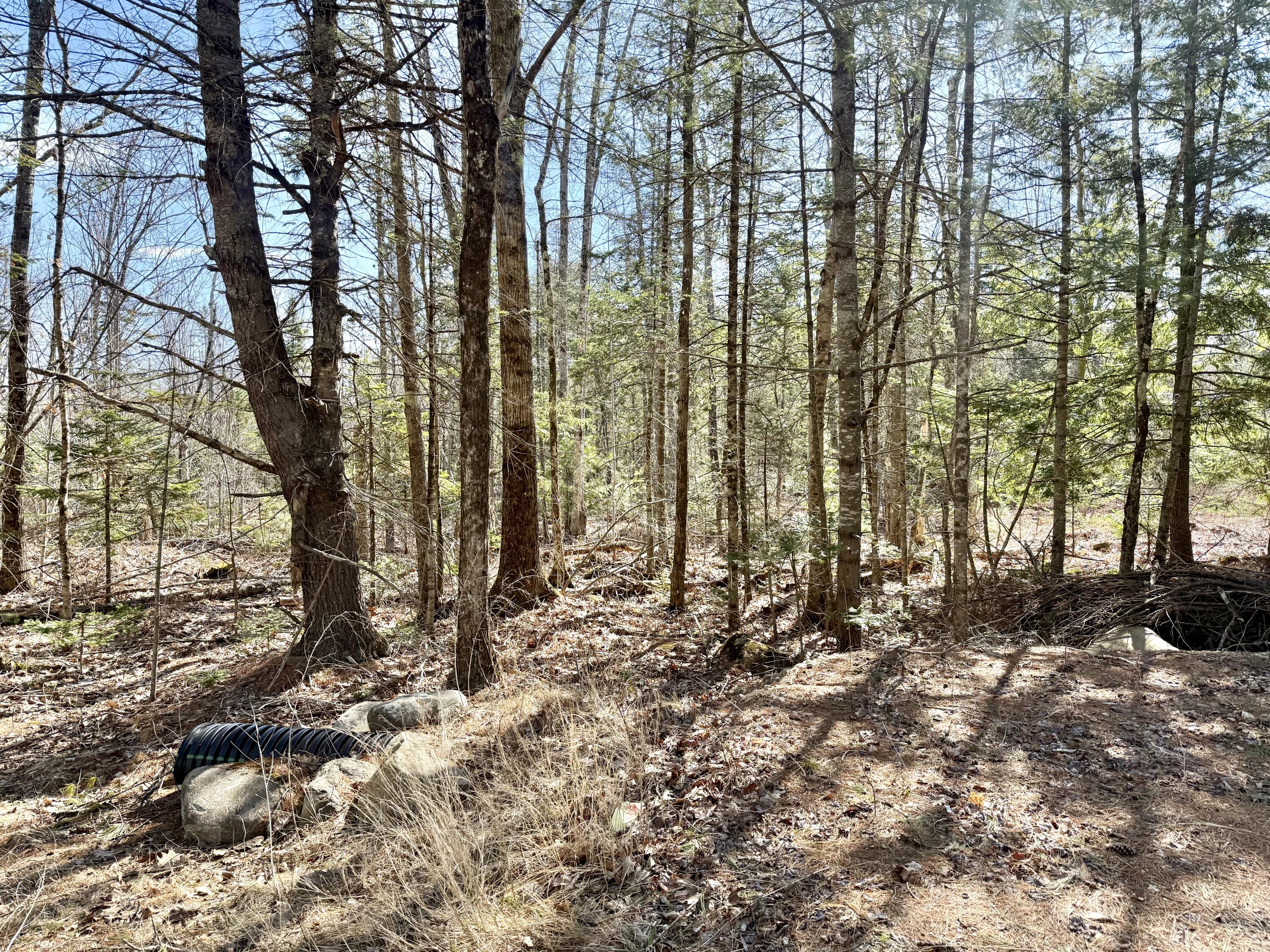 Lot 1 Valley East Sub Property Photo 1