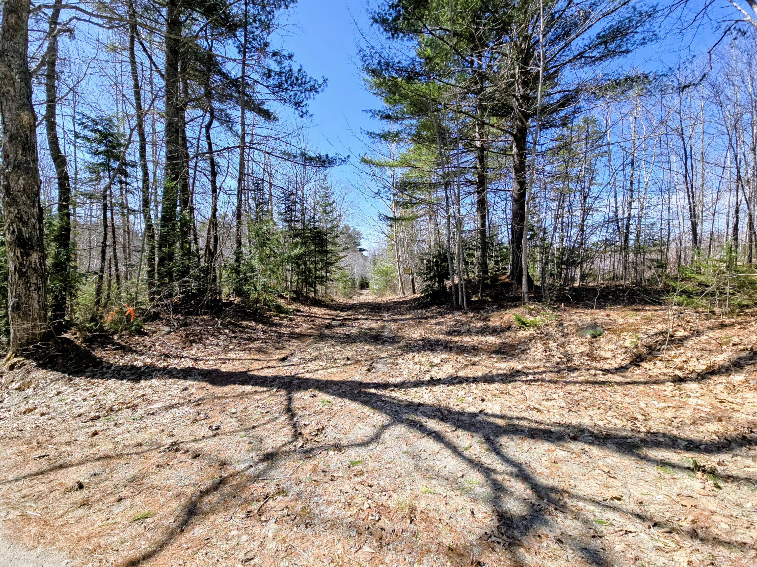 Lot 42-2 Off Burnham Hill Road Property Photo 1