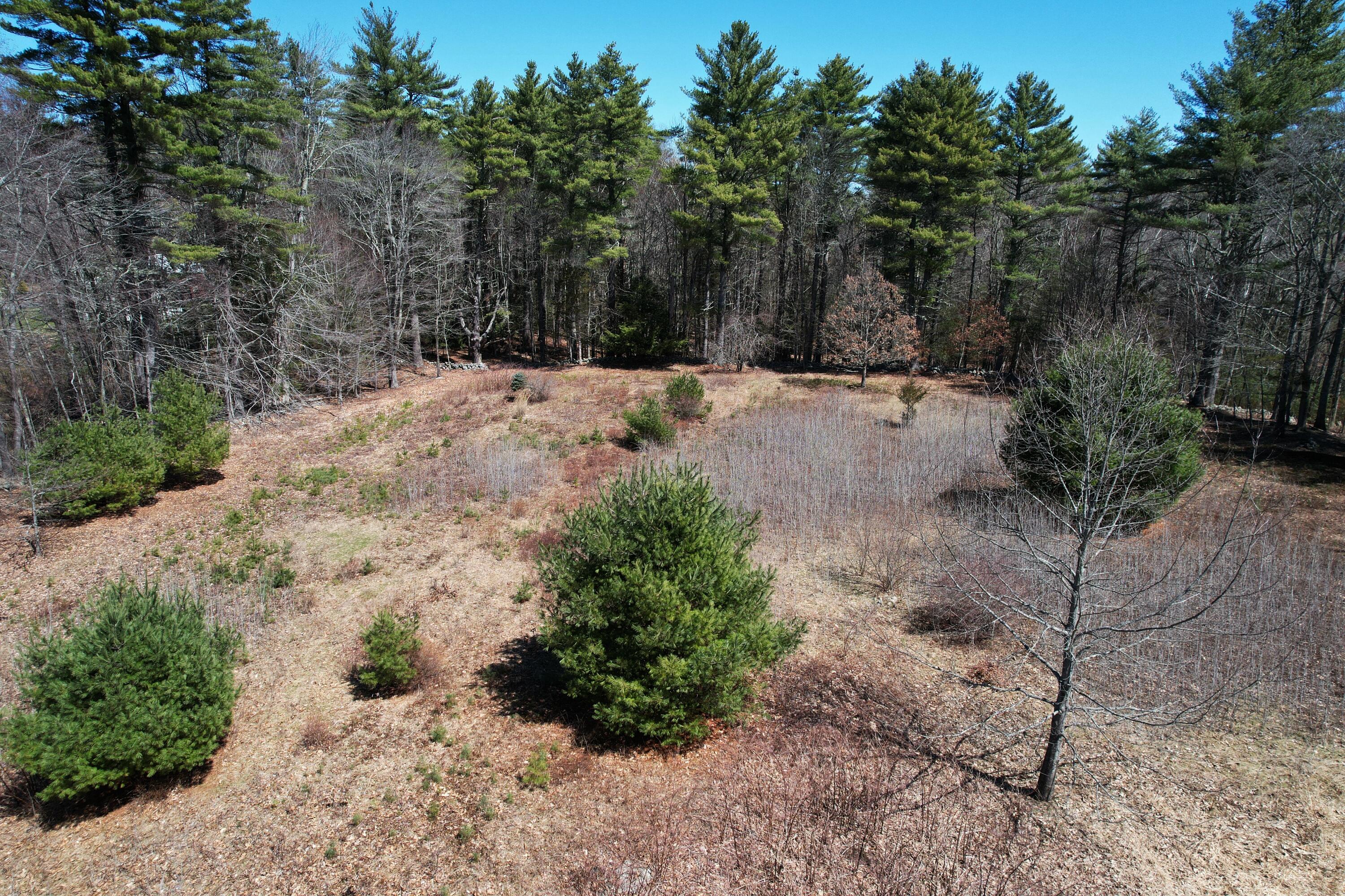 Lot 4 Stonecrop Farm Lane Property Photo 5
