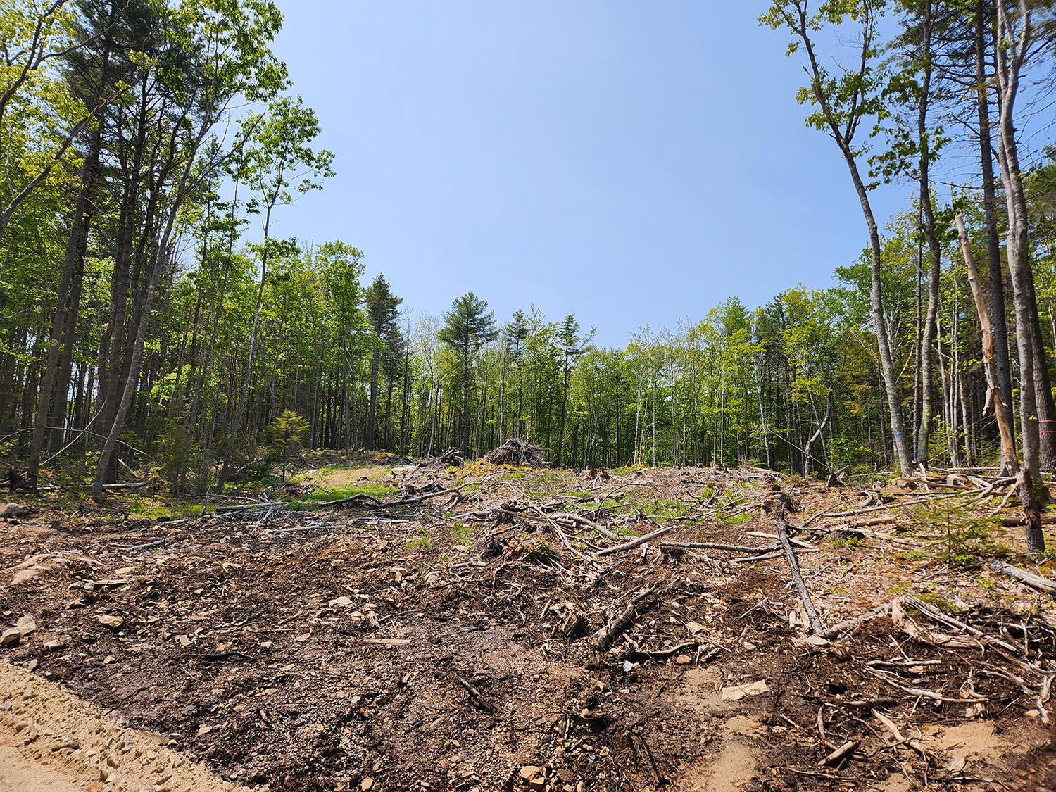 Lot 2 Woodland Drive Property Photo 1