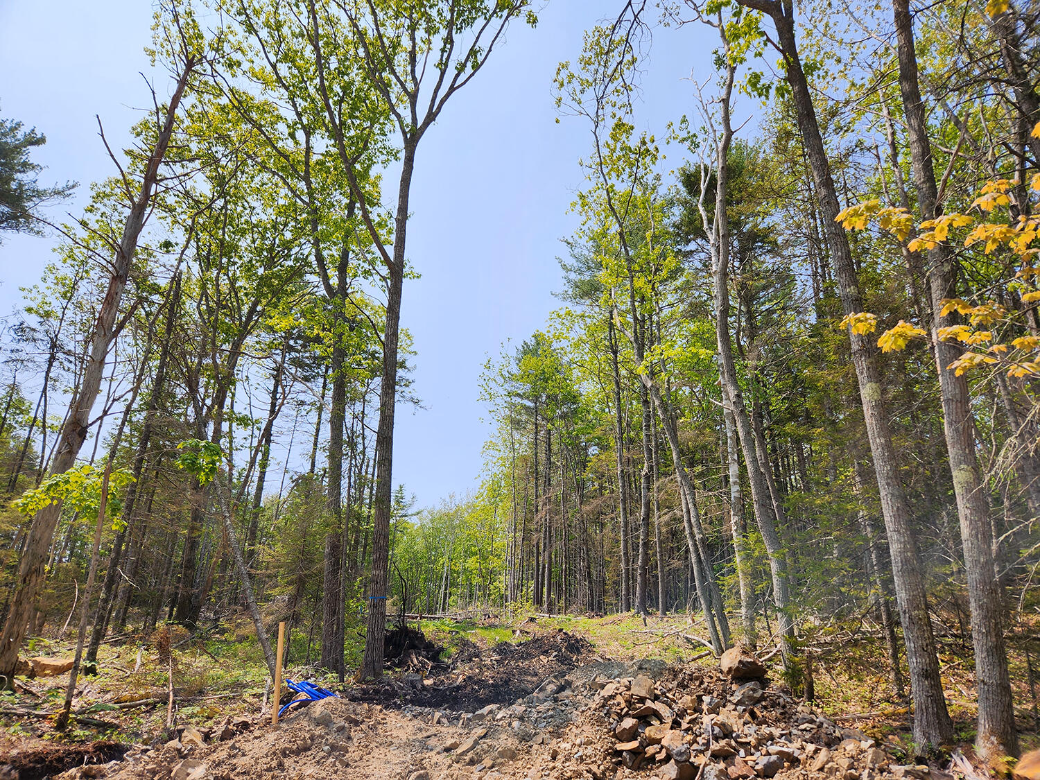 Lot 2 Woodland Drive Property Photo 2