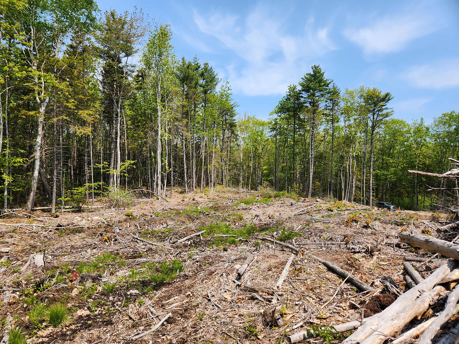 Lot 2 Woodland Drive Property Photo 5