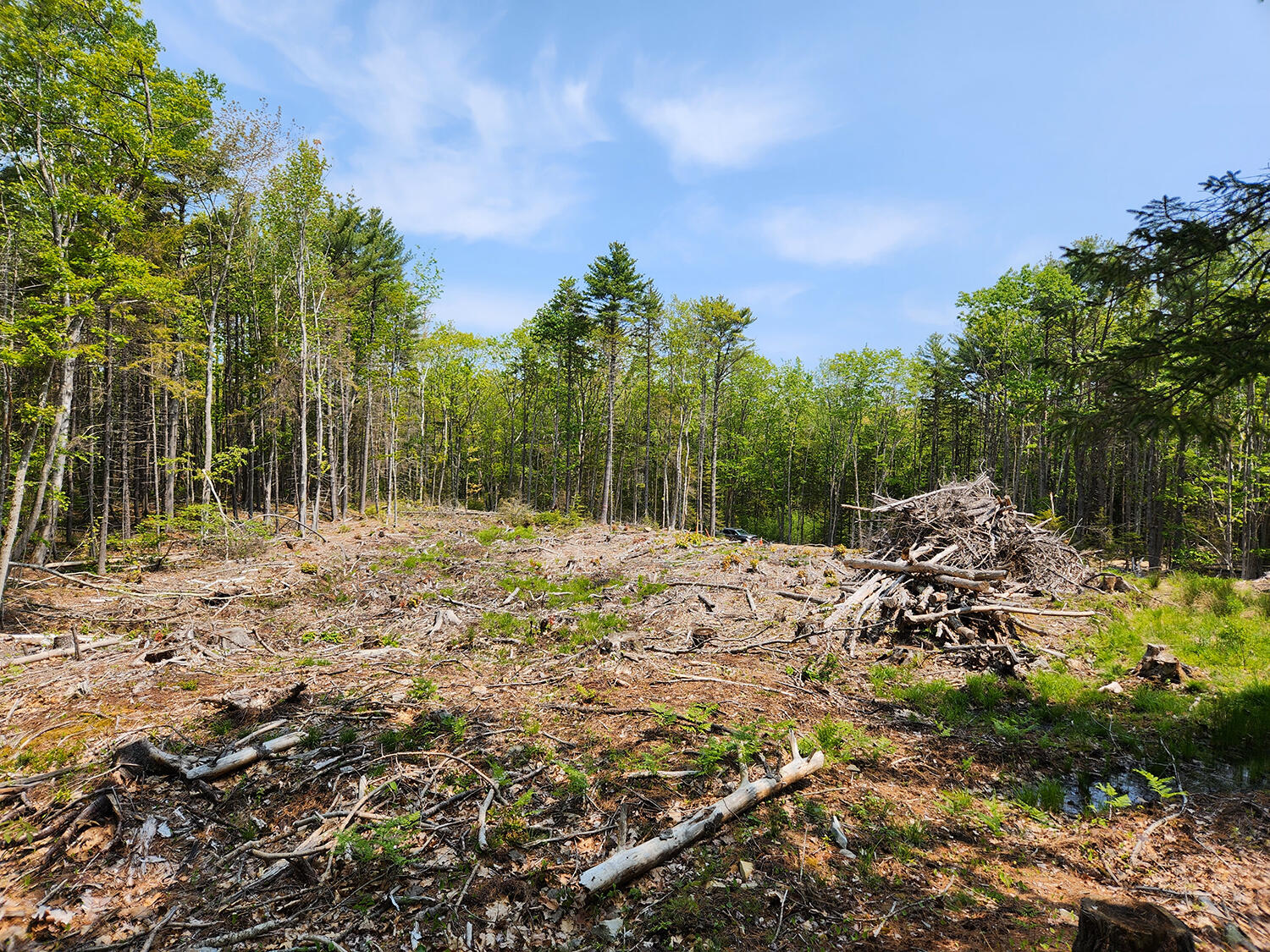Lot 2 Woodland Drive Property Photo 8