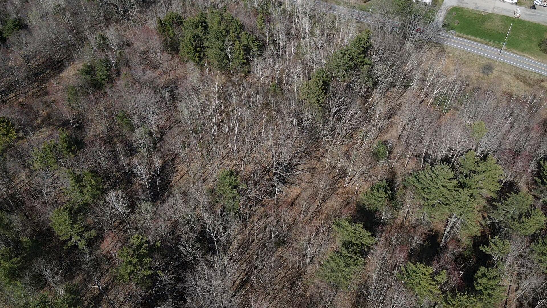 005 Finson Road Property Photo 13