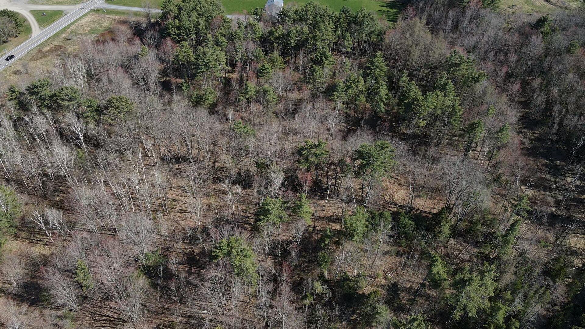 005 Finson Road Property Photo 14
