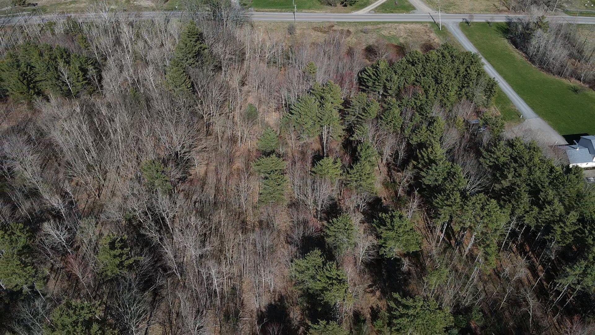 005 Finson Road Property Photo 16