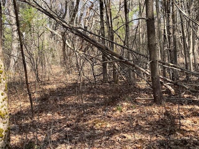 161 Brown Street Property Photo 11