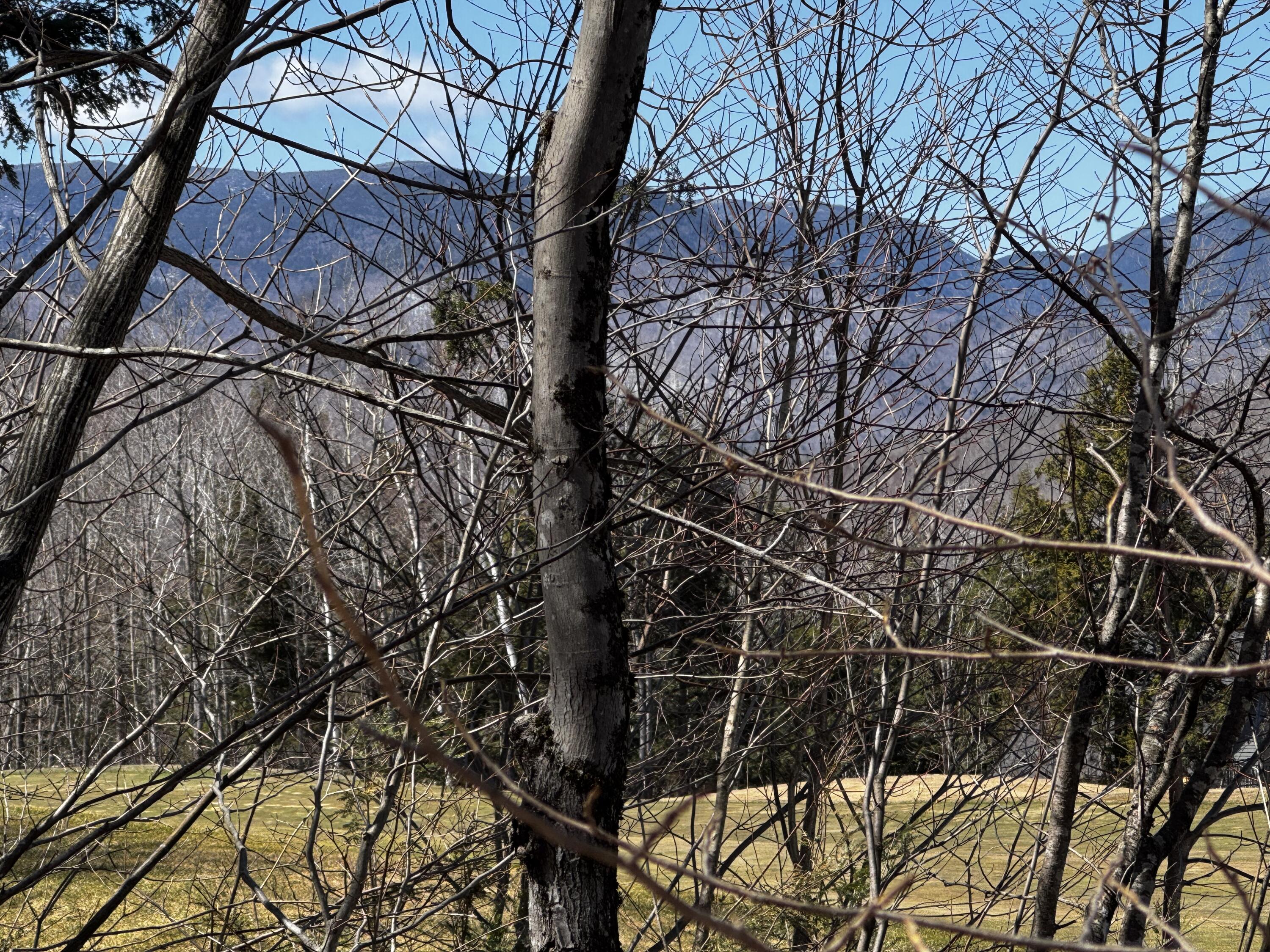 Lot 26 Wilderness Drive Property Photo 2