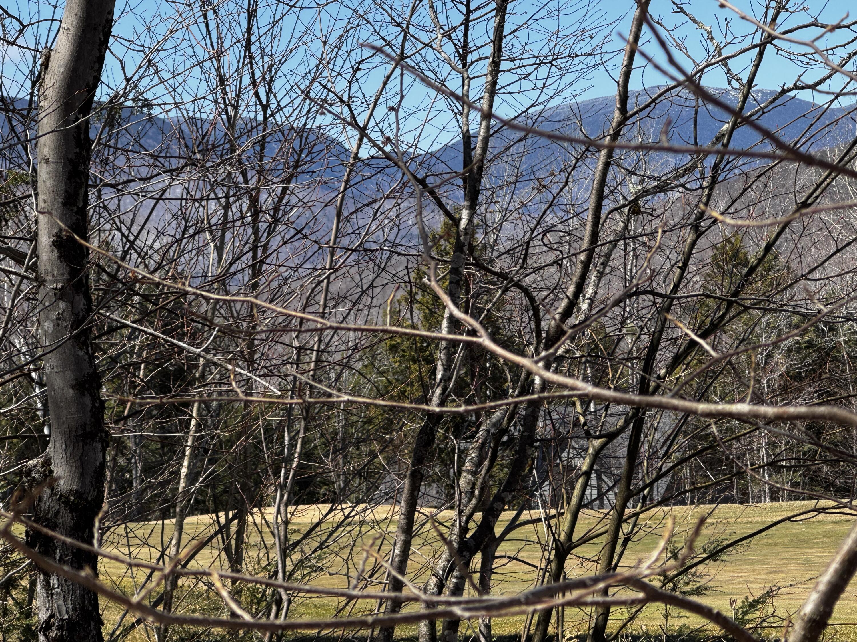 Lot 26 Wilderness Drive Property Photo 5