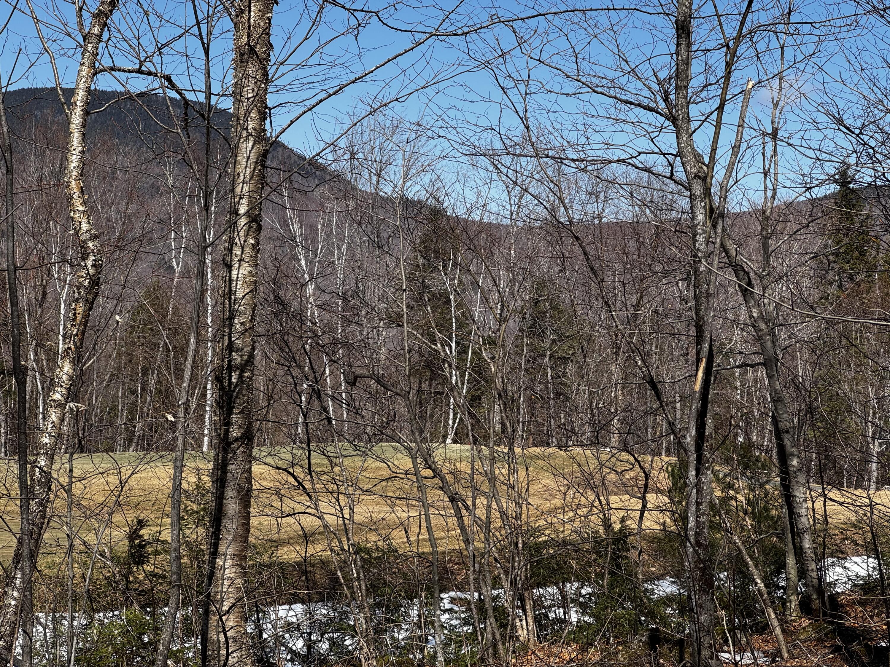 Lot 26 Wilderness Drive Property Photo 6