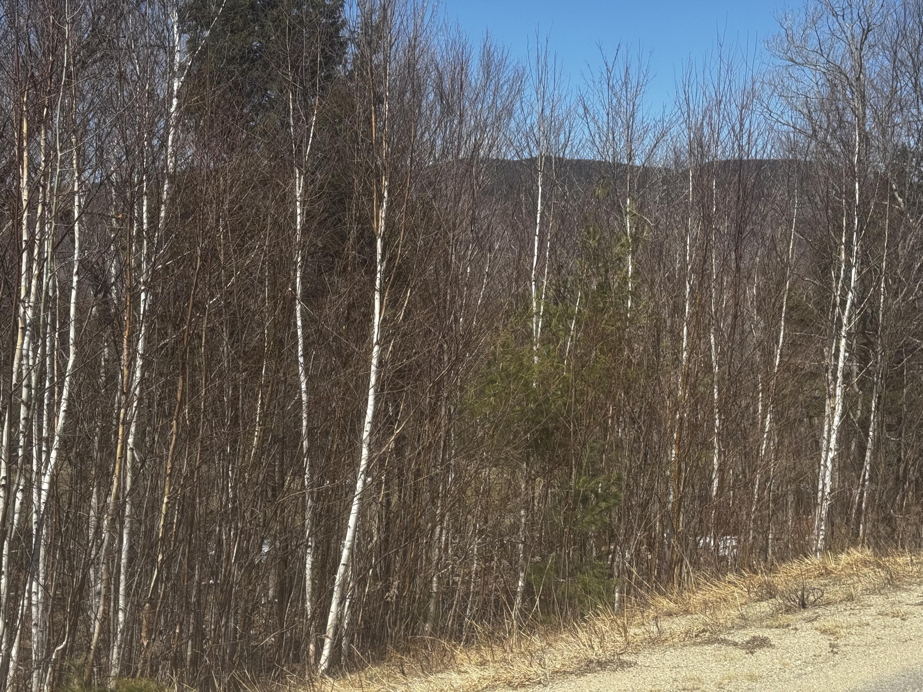 Lot 26 Wilderness Drive Property Photo 8