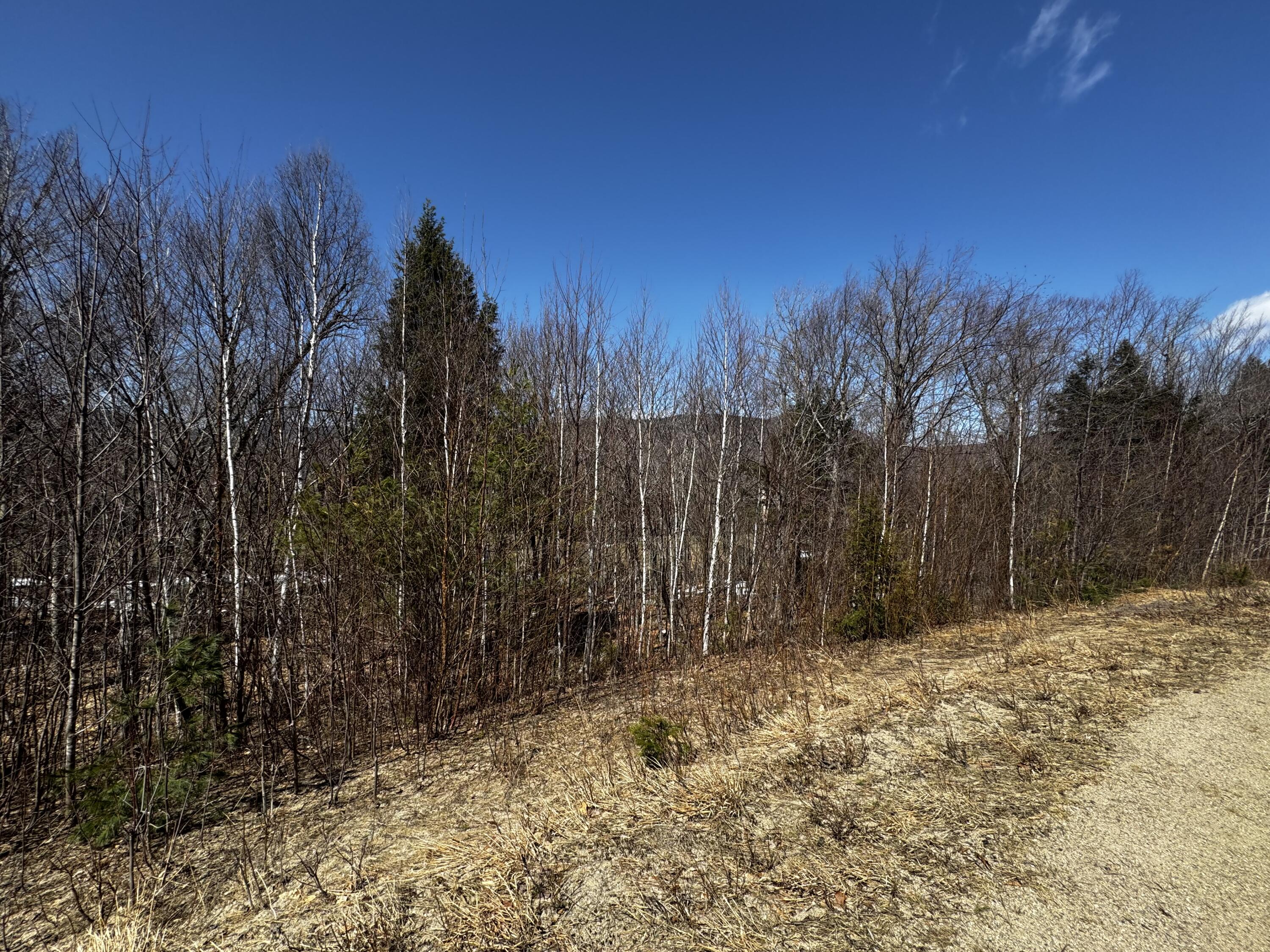Lot 26 Wilderness Drive Property Photo 10