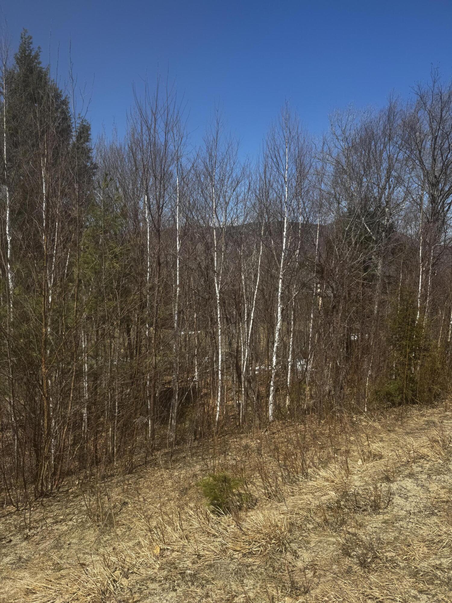 Lot 26 Wilderness Drive Property Photo 11