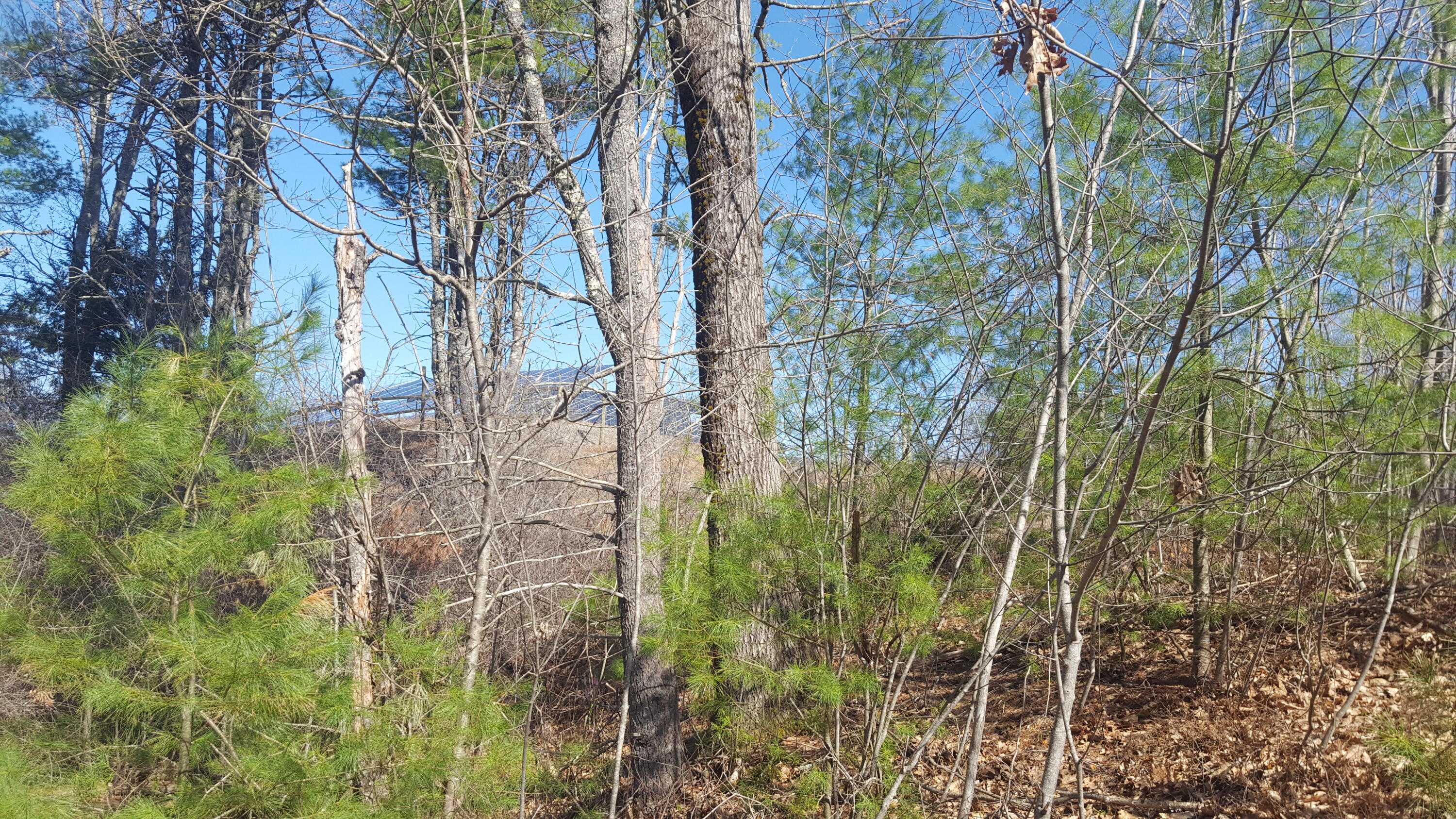 79 Mitchell Hill Road Road Property Photo 3