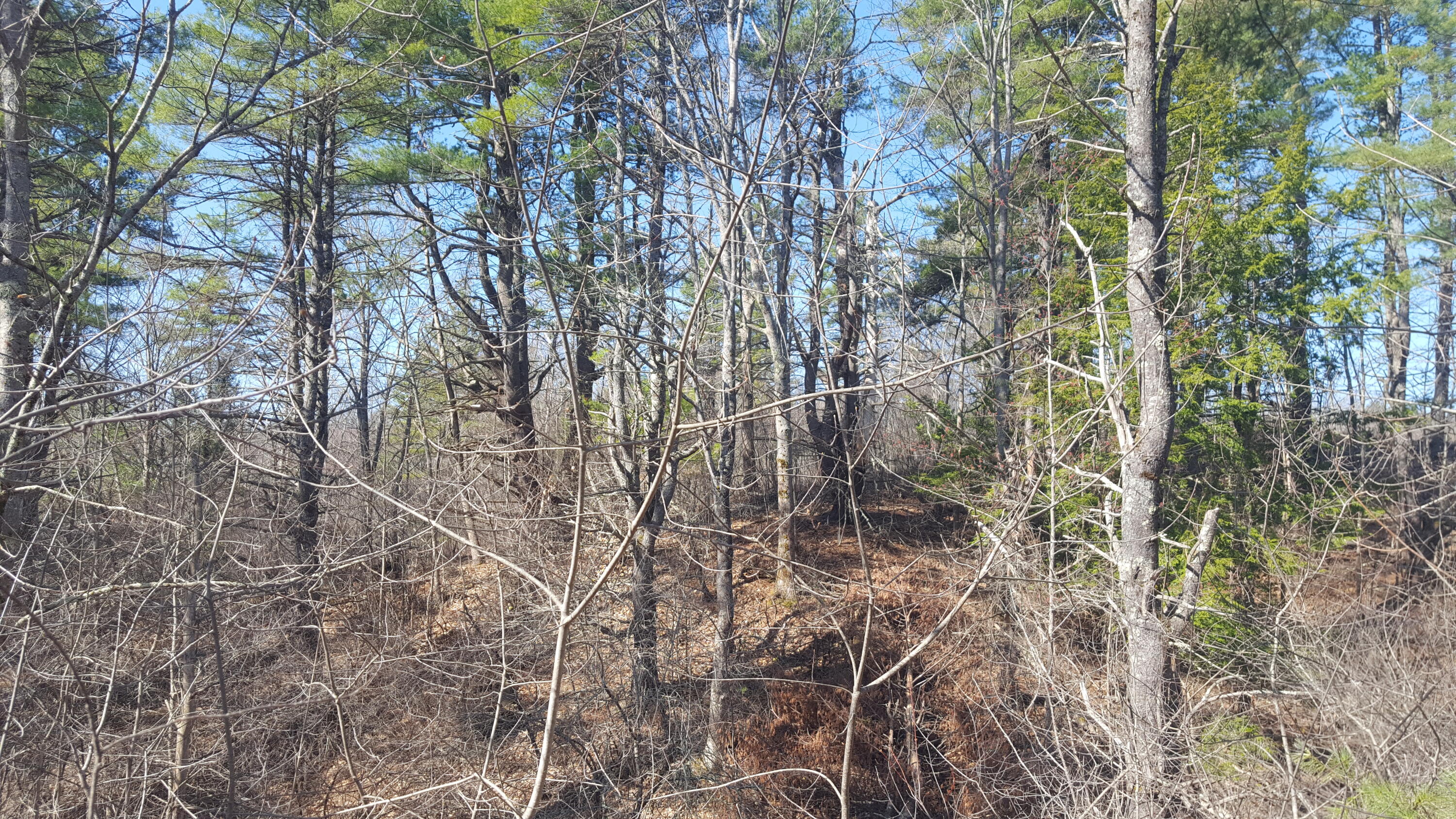79 Mitchell Hill Road Road Property Photo 21