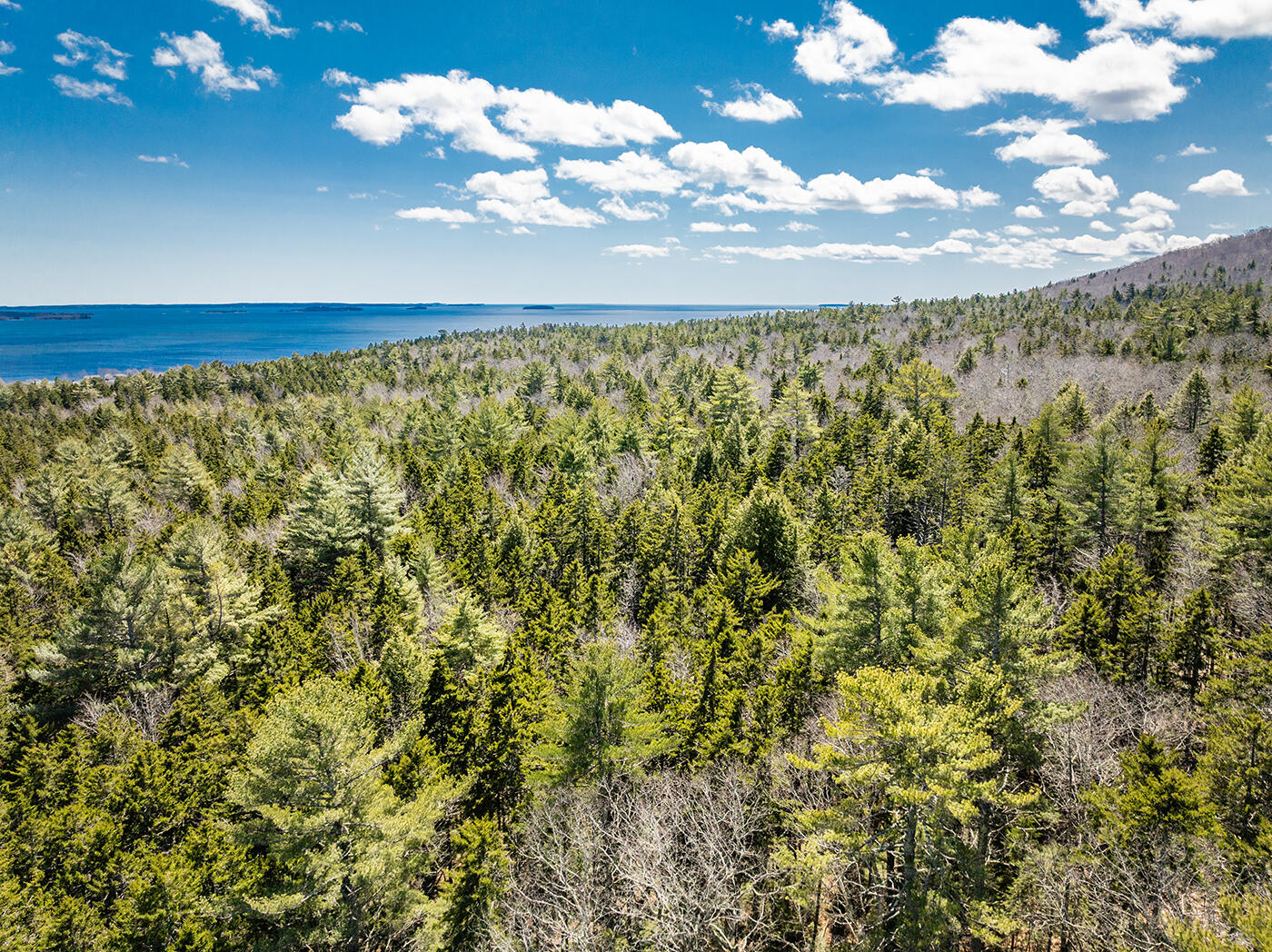 14-6 Atlantic Highway Property Photo 4