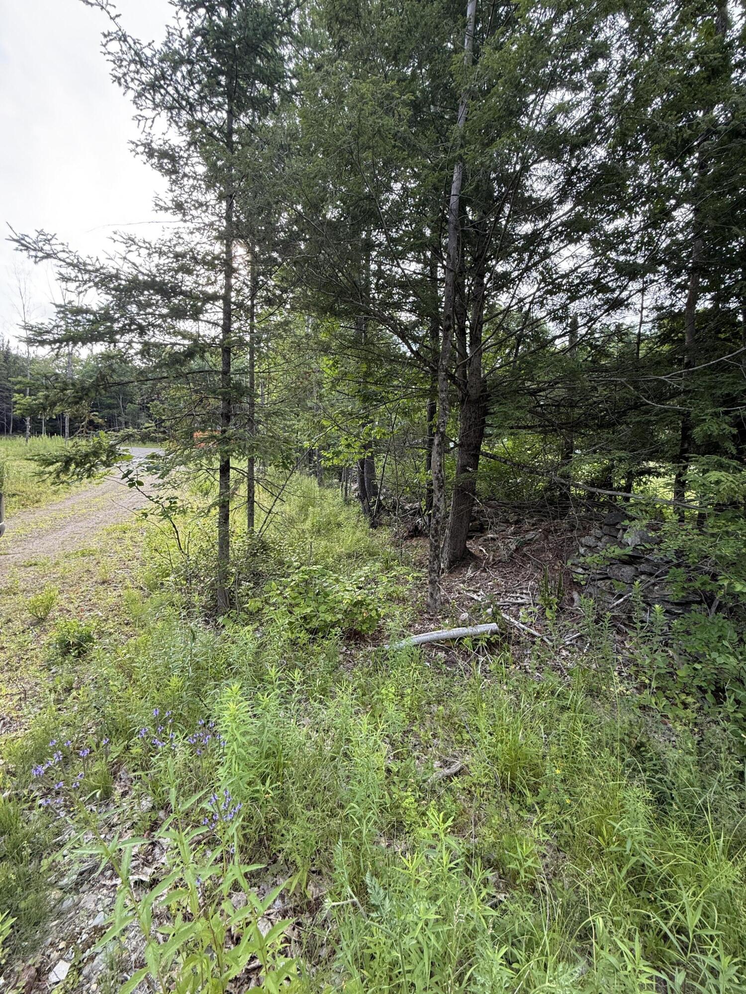 498 Morrill Road Property Photo 5