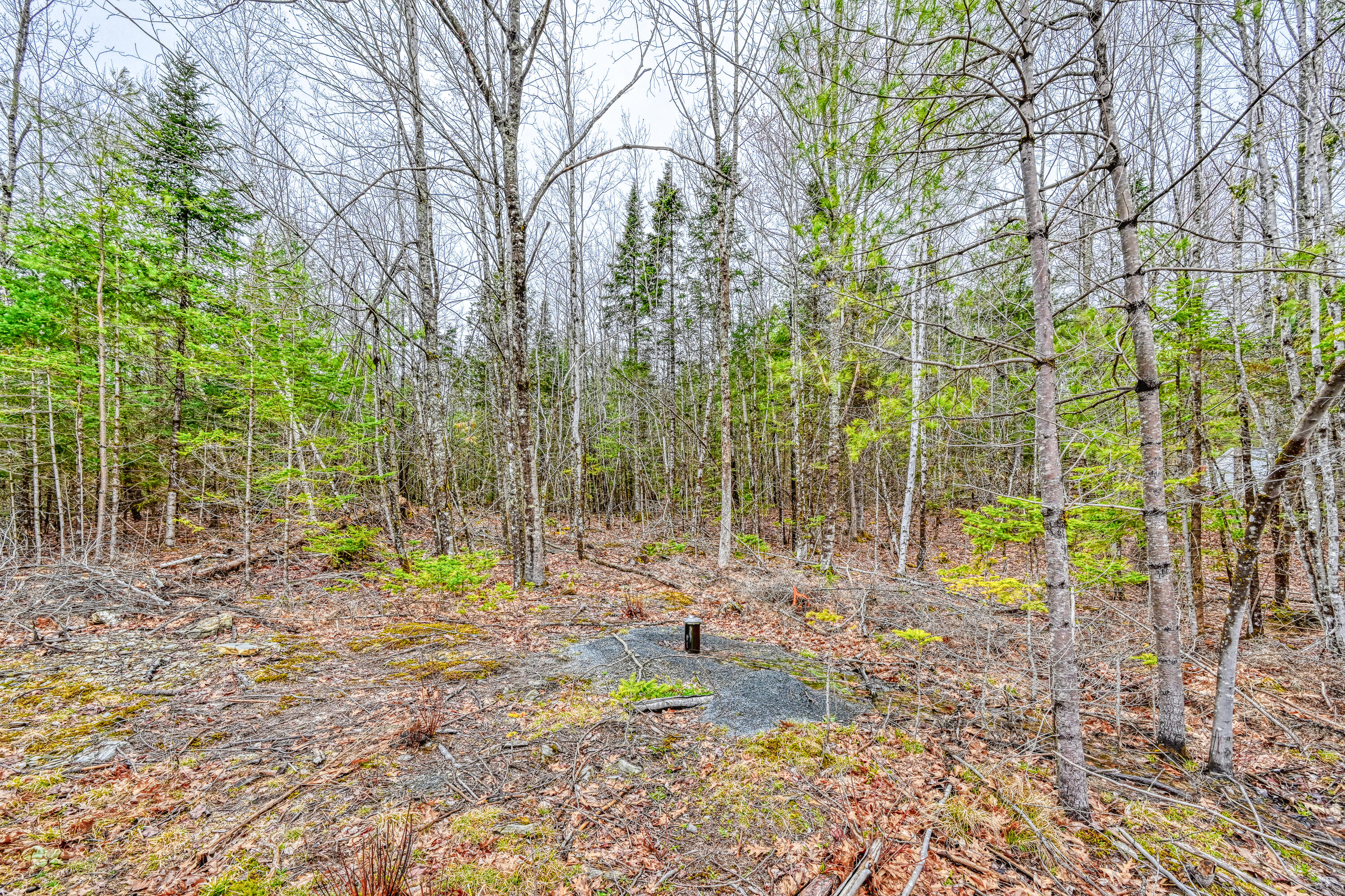 498 Morrill Road Property Photo 16
