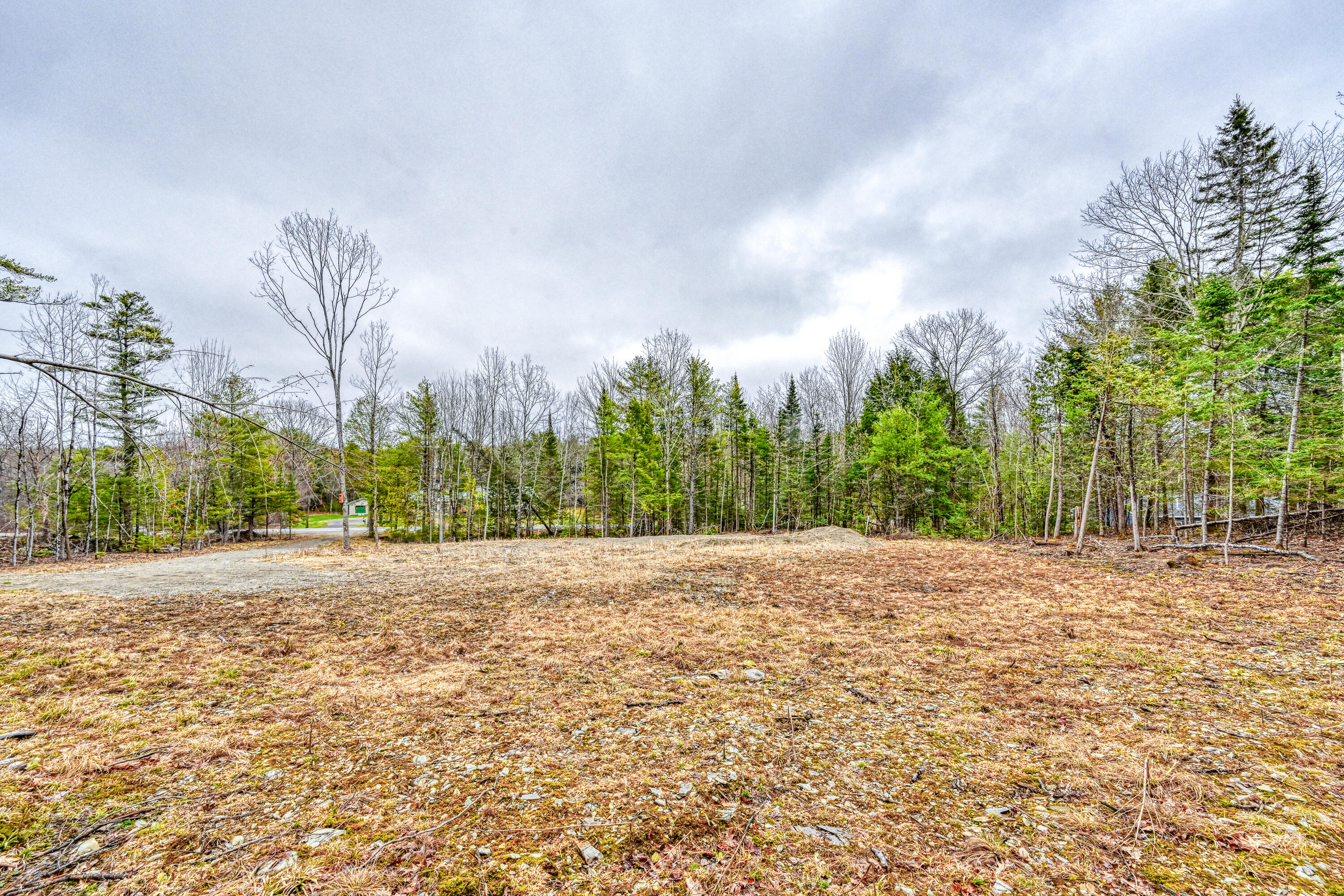 498 Morrill Road Property Photo 17