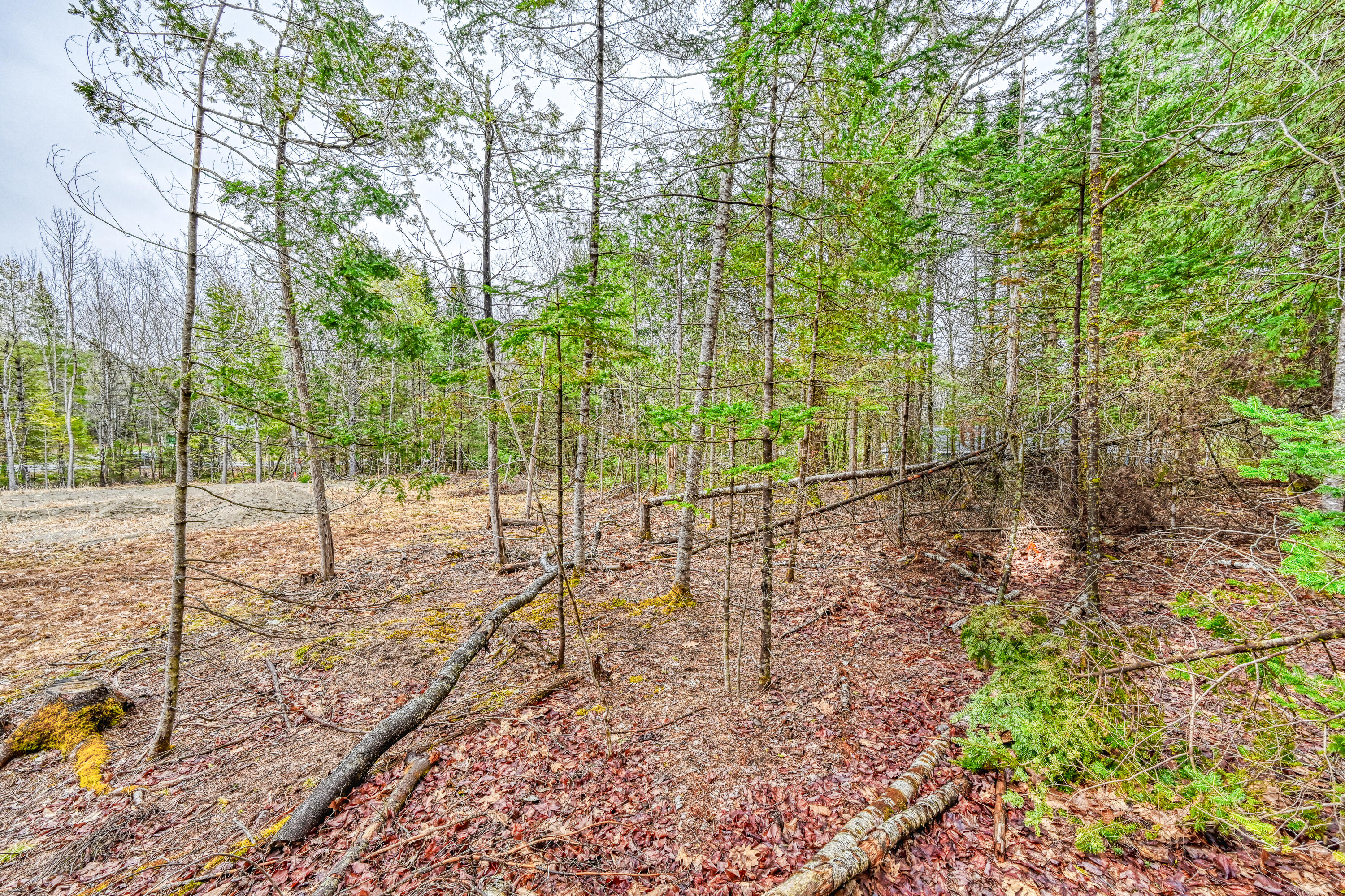 498 Morrill Road Property Photo 18