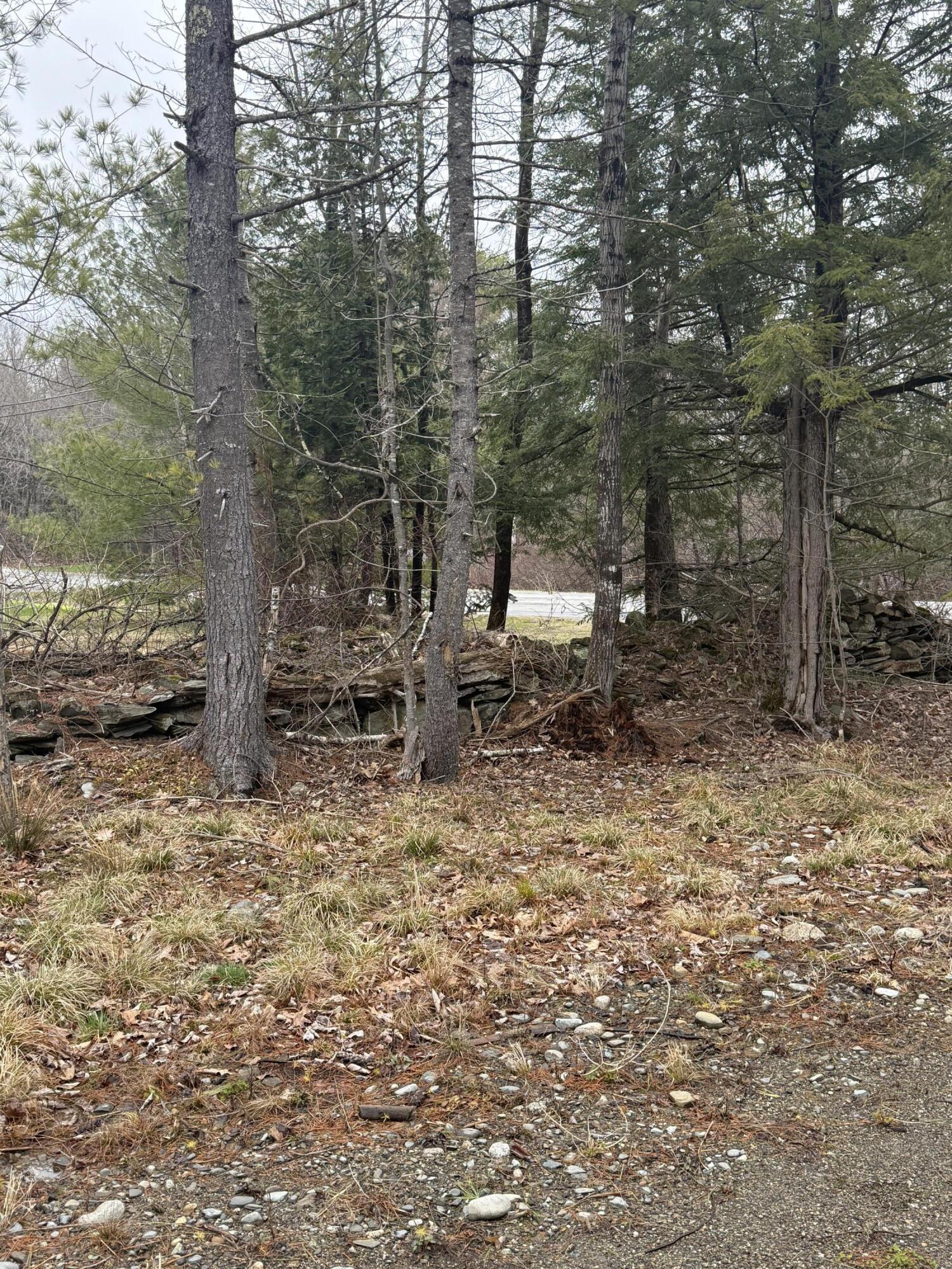 498 Morrill Road Property Photo 22