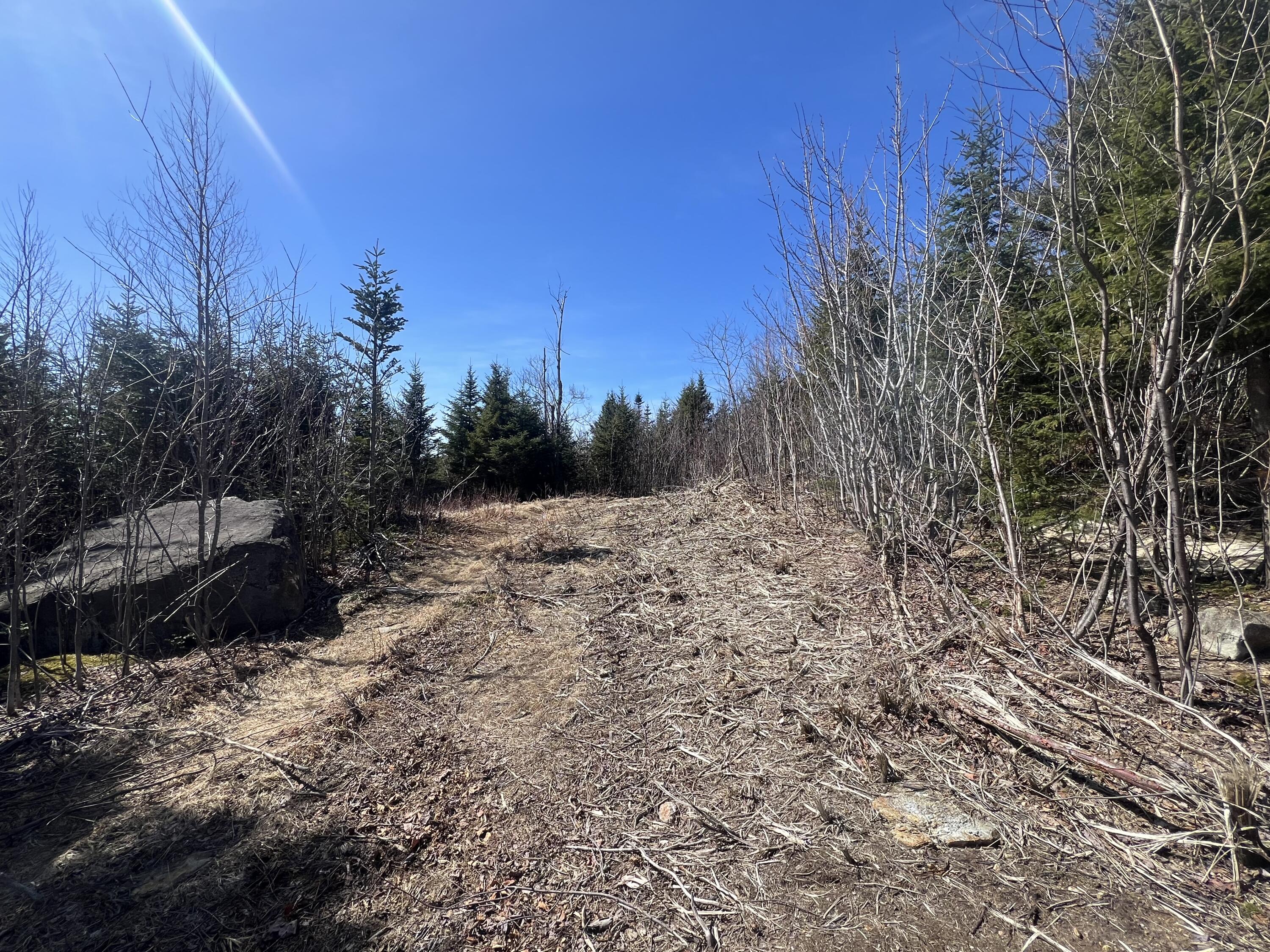 14 Moose Alley Road Property Photo 2