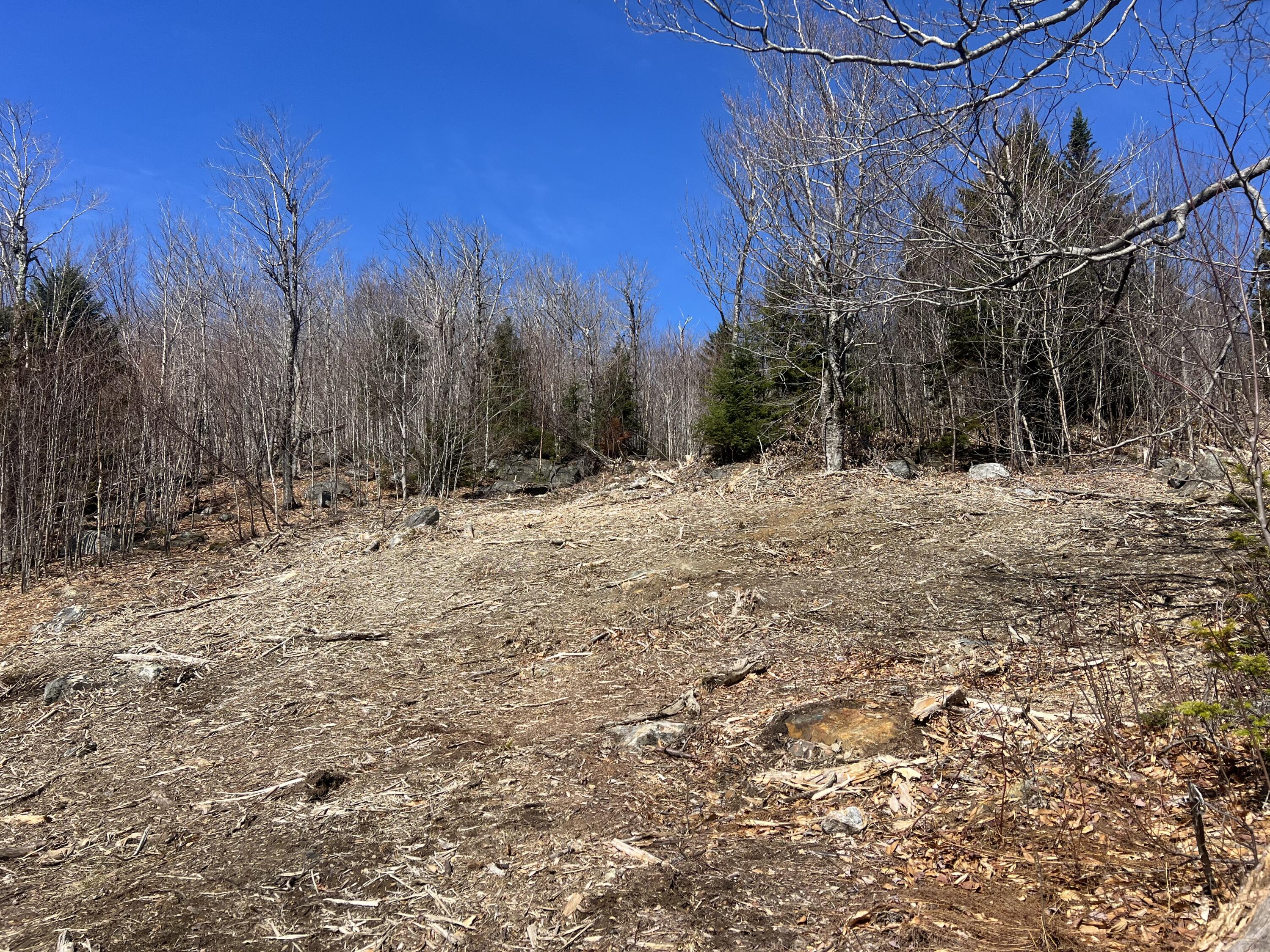 14 Moose Alley Road Property Photo 3