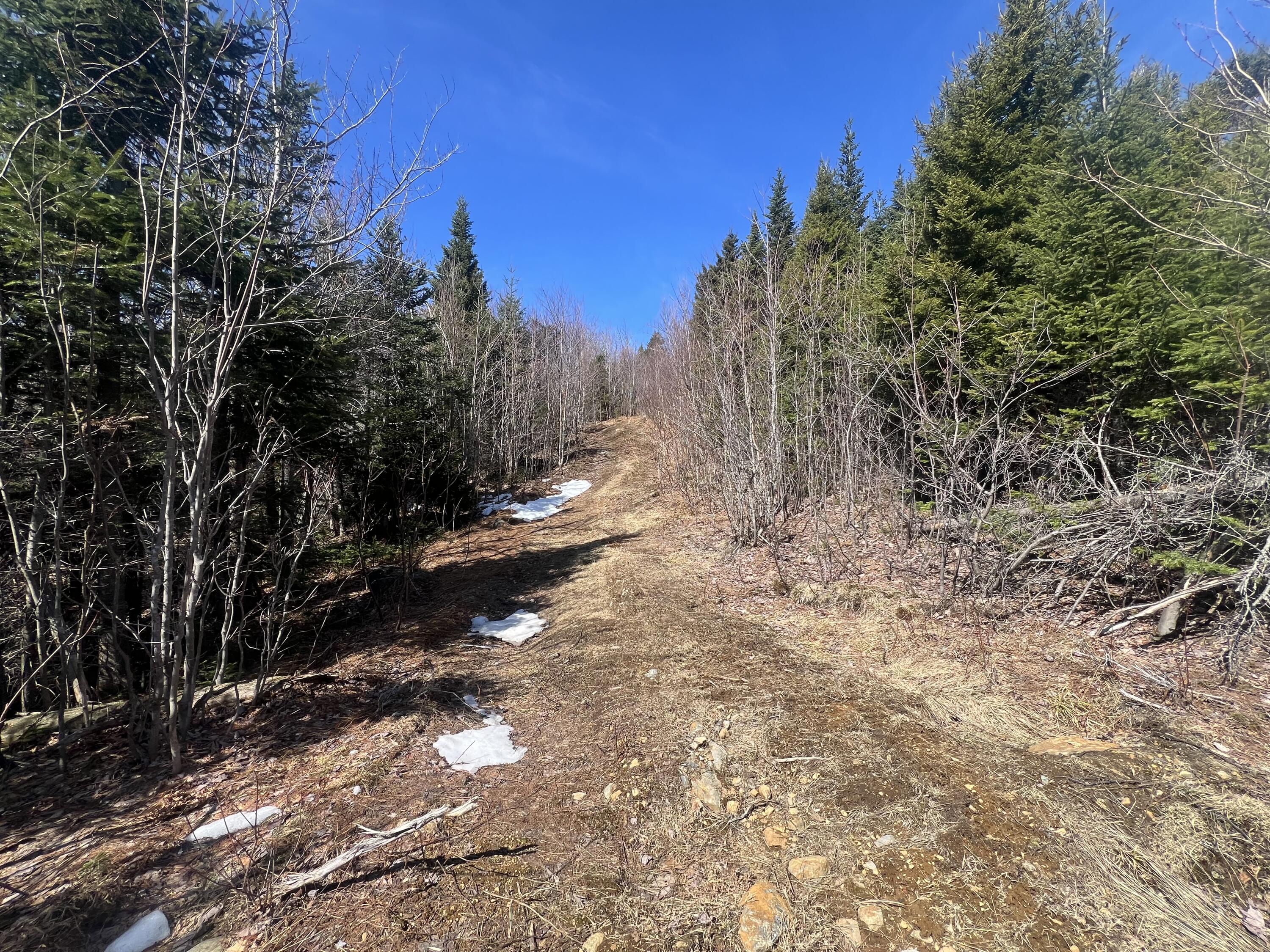 14 Moose Alley Road Property Photo 6
