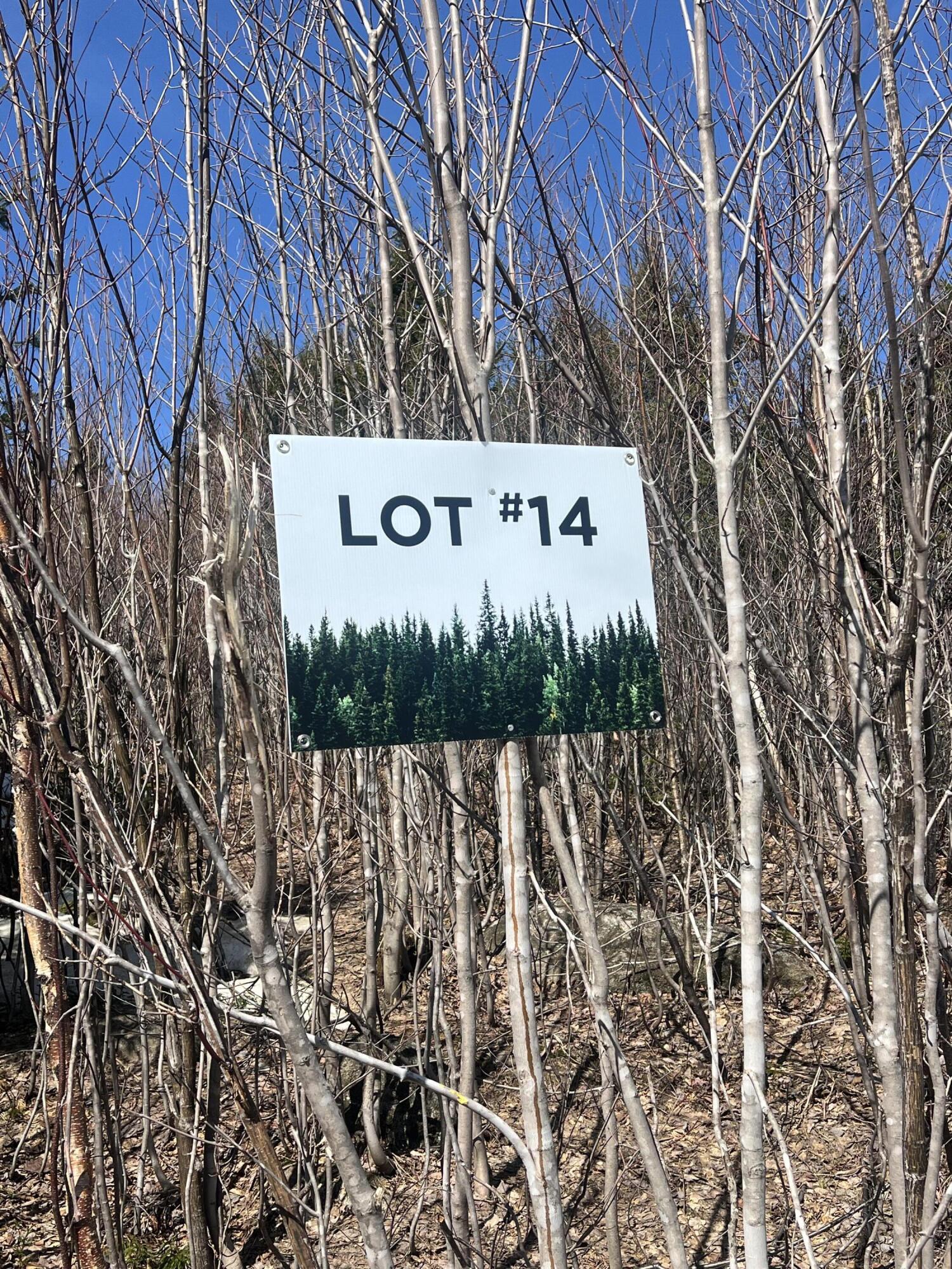 14 Moose Alley Road Property Photo 7