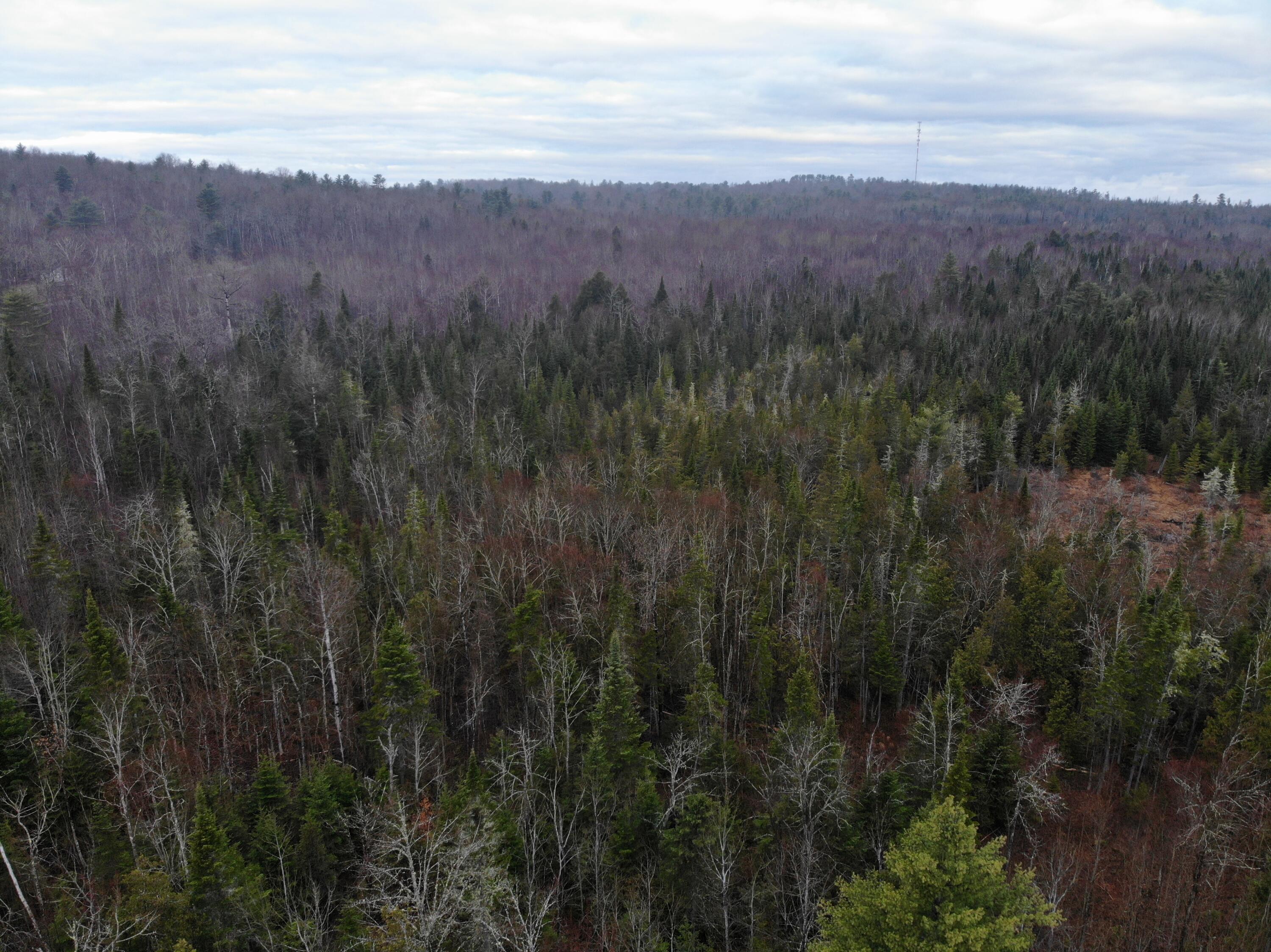 Map5lot1 Silvers Mills Road Property Photo 2