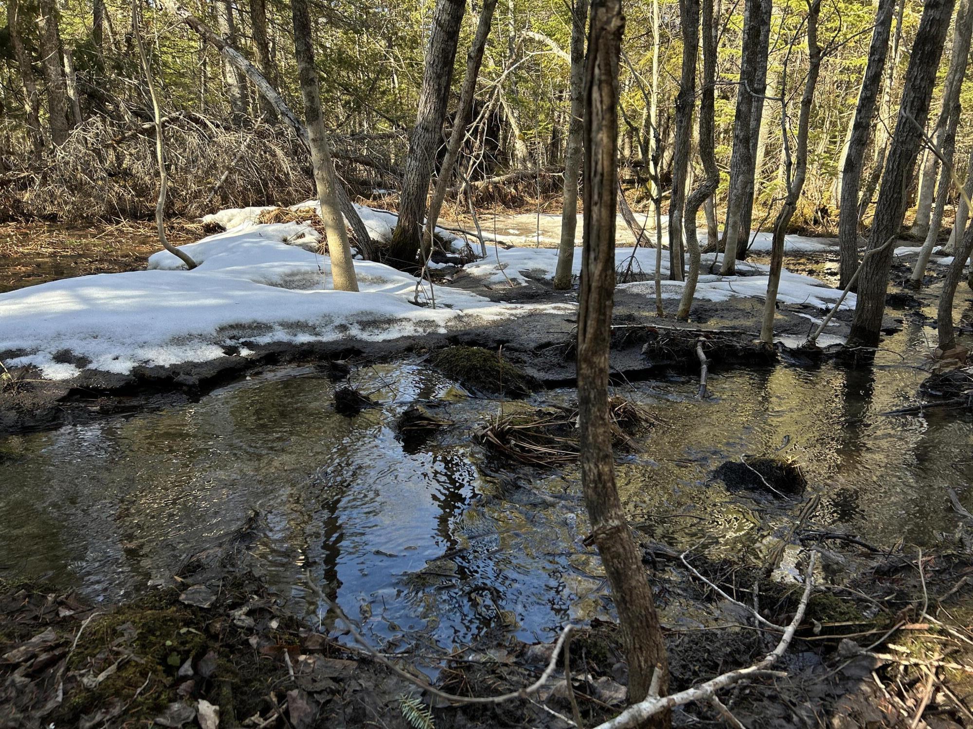Map5lot1 Silvers Mills Road Property Photo 3