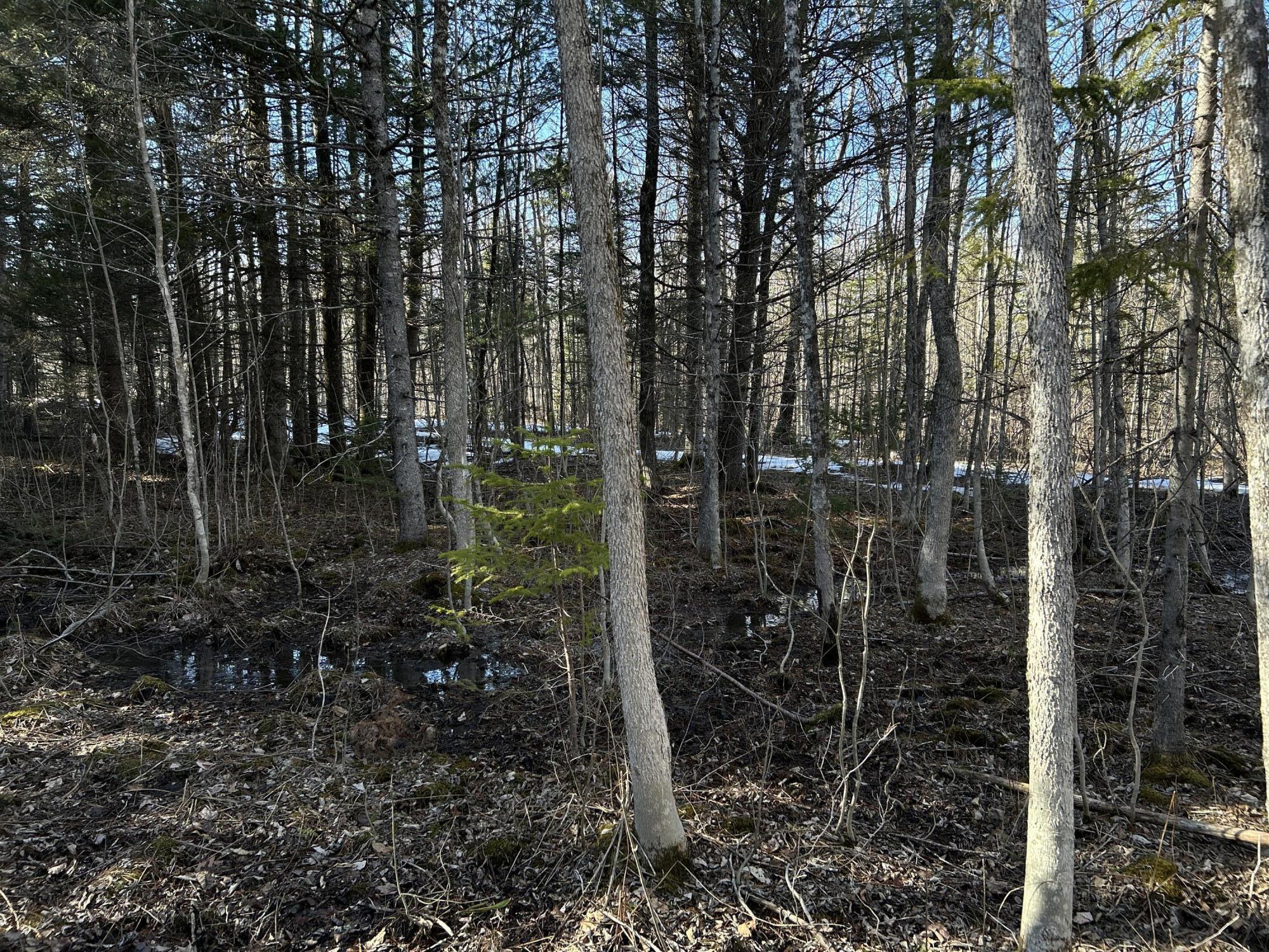 Map5lot1 Silvers Mills Road Property Photo 8