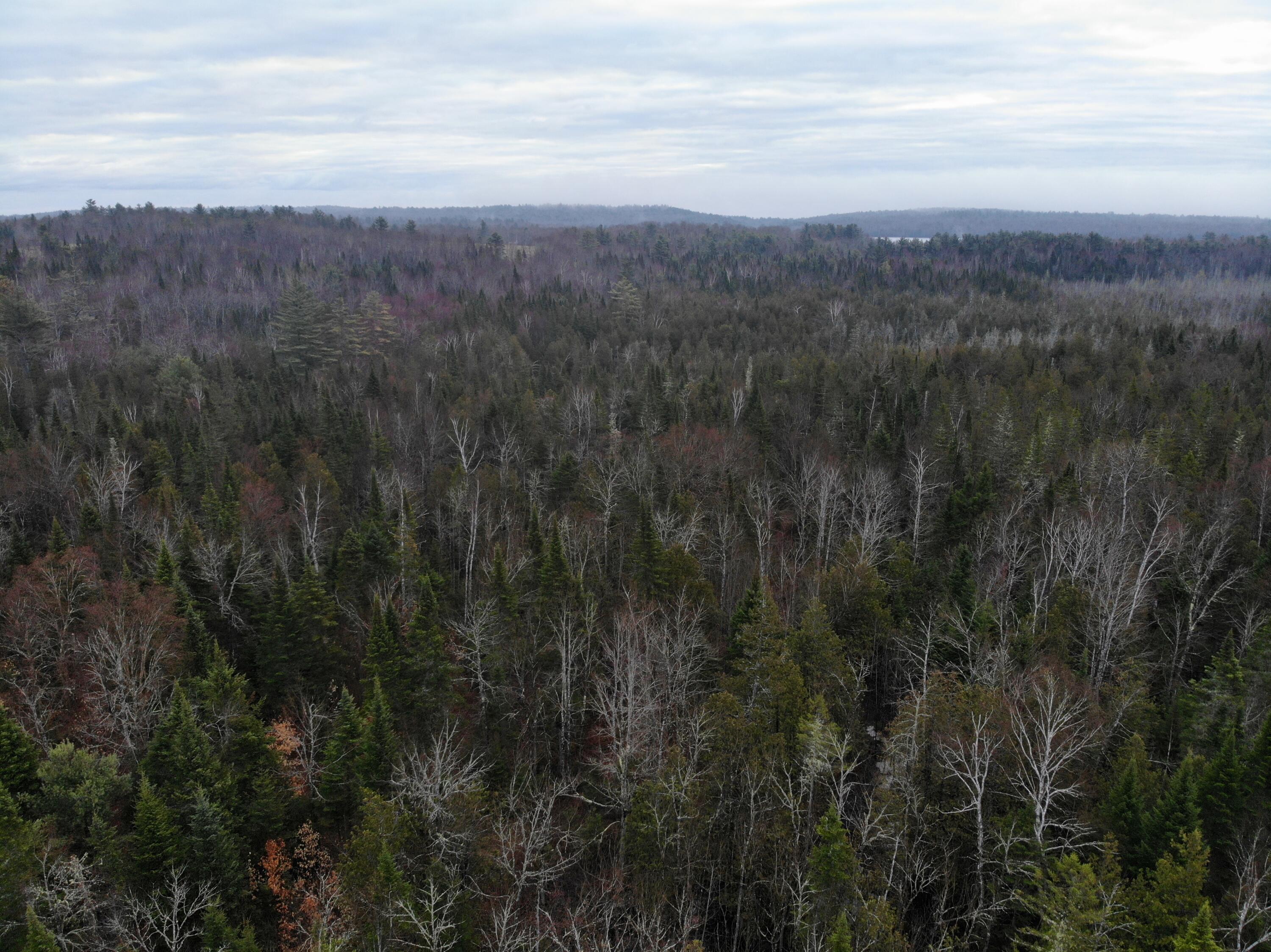 Map5lot1 Silvers Mills Road Property Photo 9