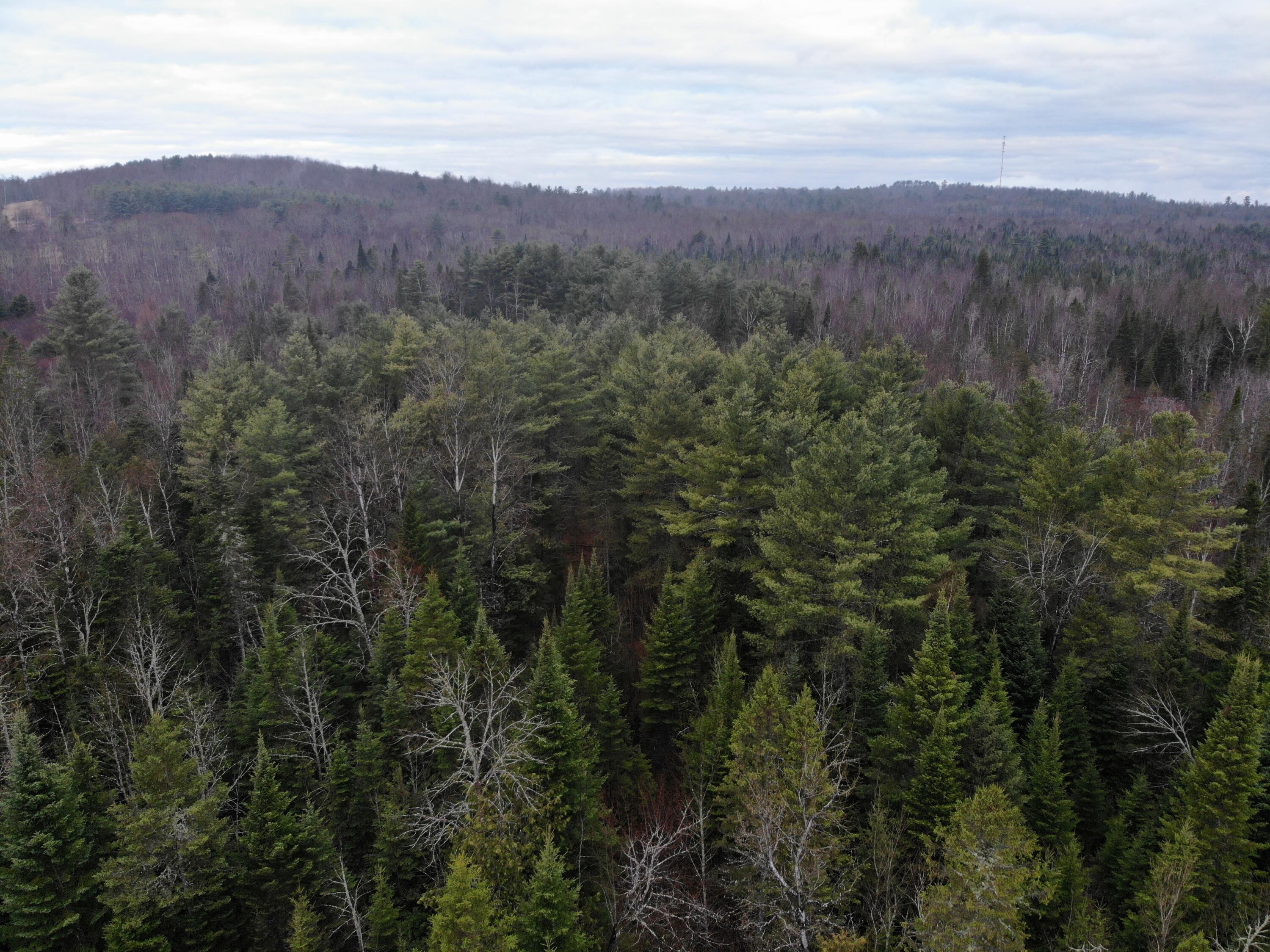 Map5lot1 Silvers Mills Road Property Photo 11