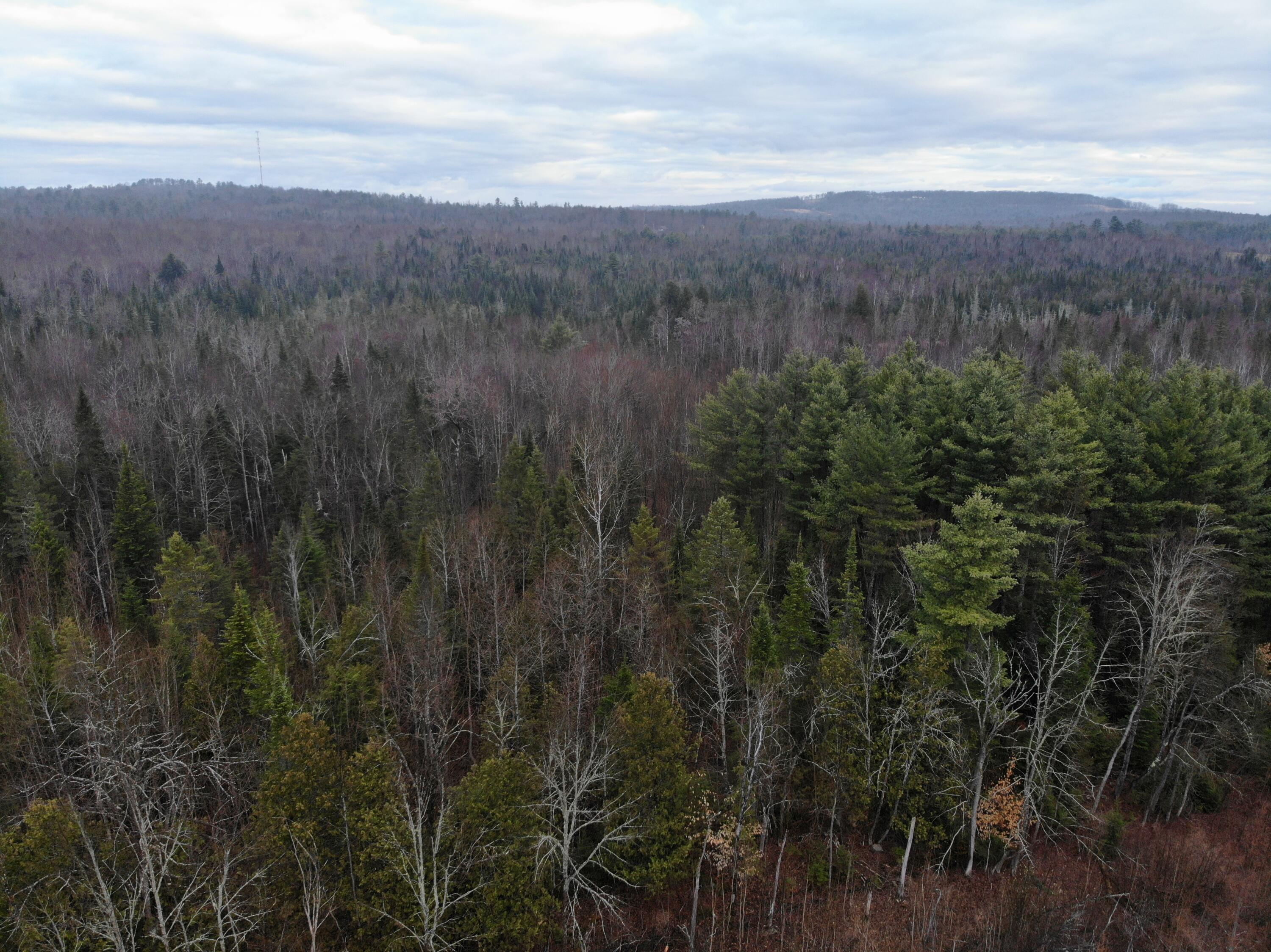 Map5lot1 Silvers Mills Road Property Photo 13