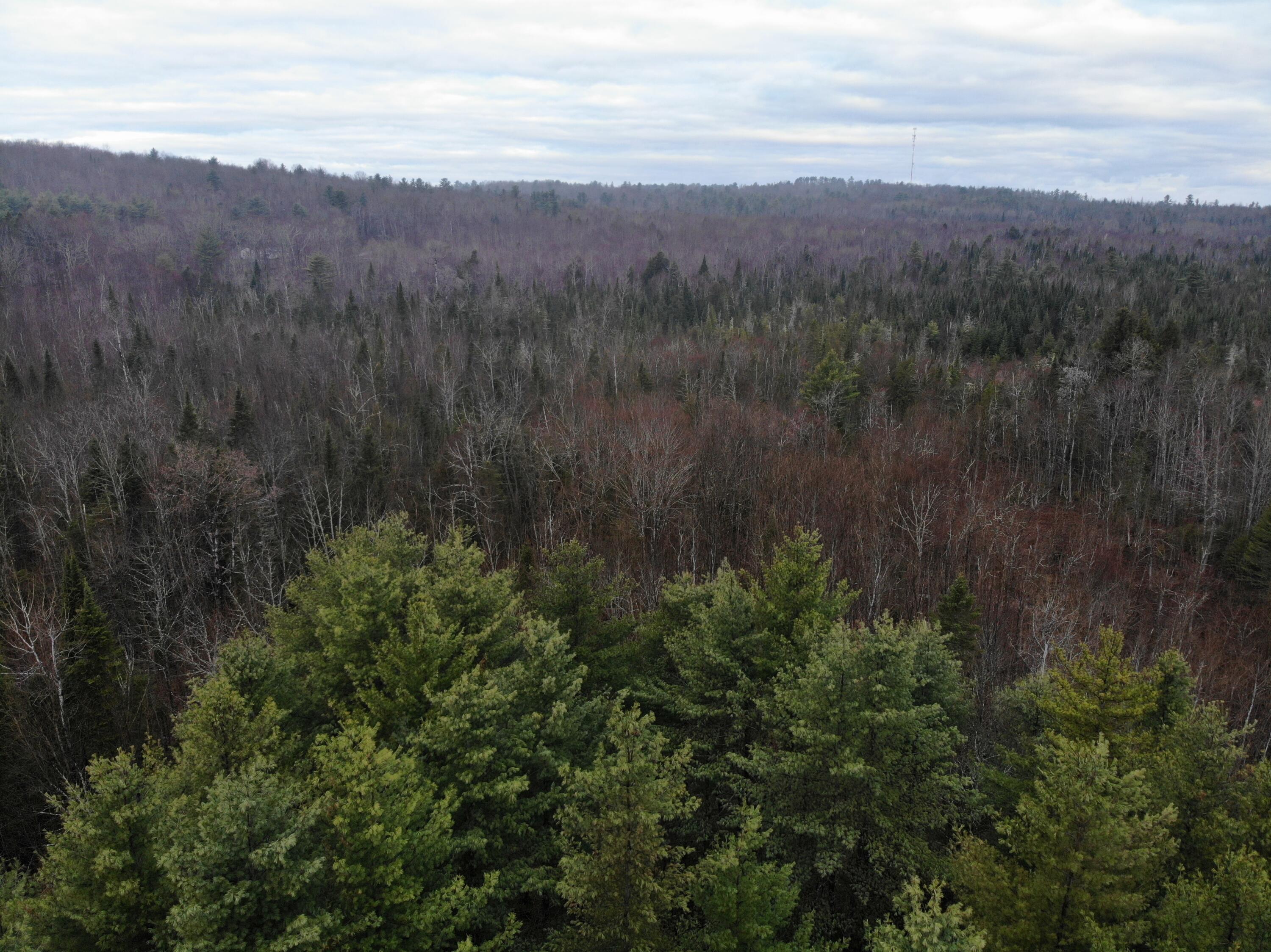 Map5lot1 Silvers Mills Road Property Photo 15