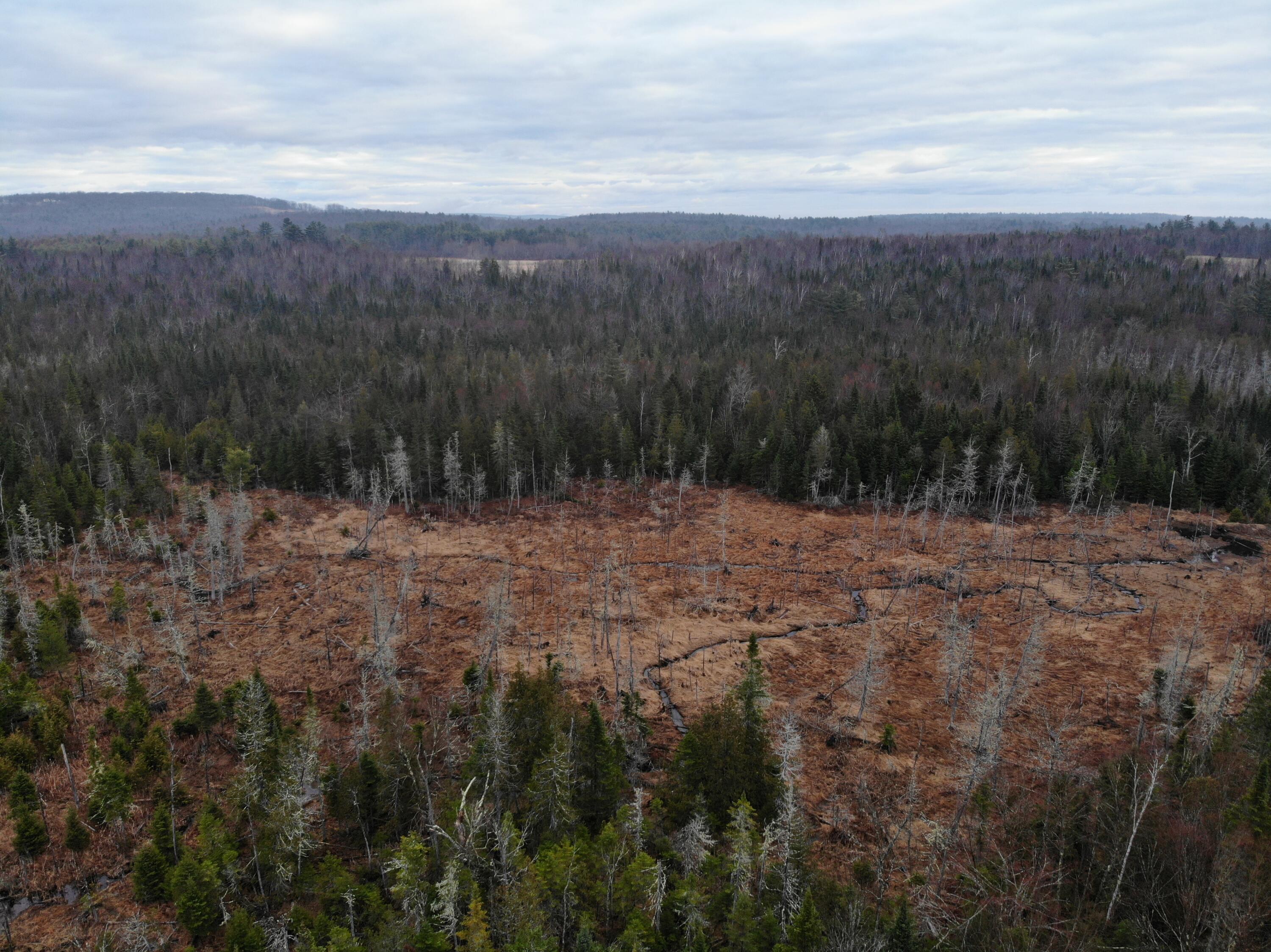 Map5lot1 Silvers Mills Road Property Photo 16