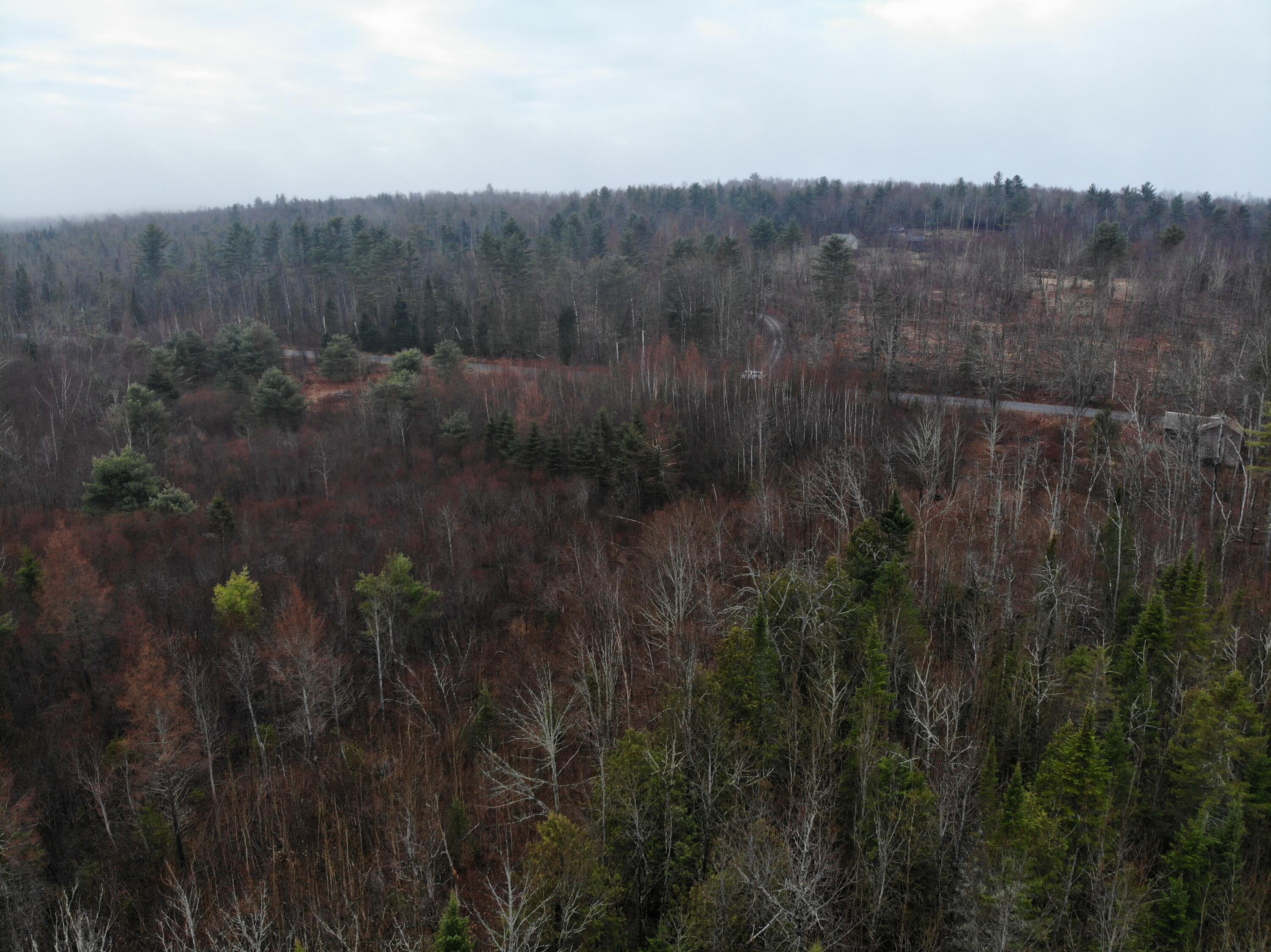 Map5lot1 Silvers Mills Road Property Photo 17